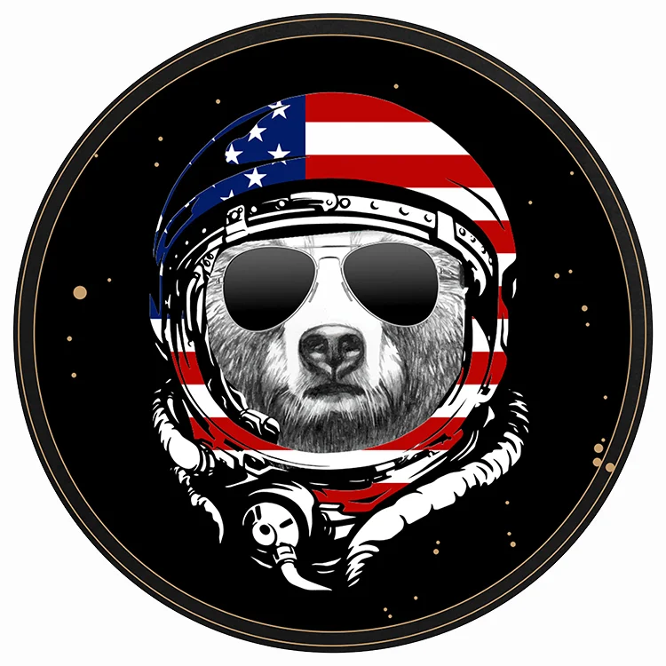 bear+astro+website.jpg