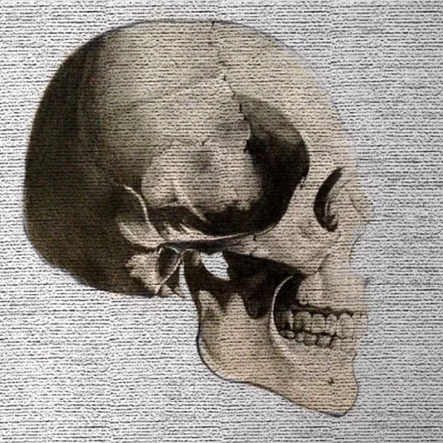 SKULL.jpg
