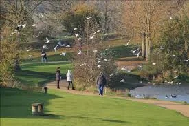 Ferry Meadows