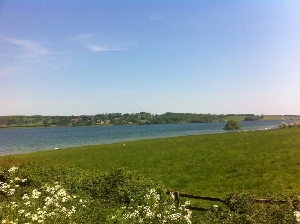 Where is the Snuggle bear when you need him?