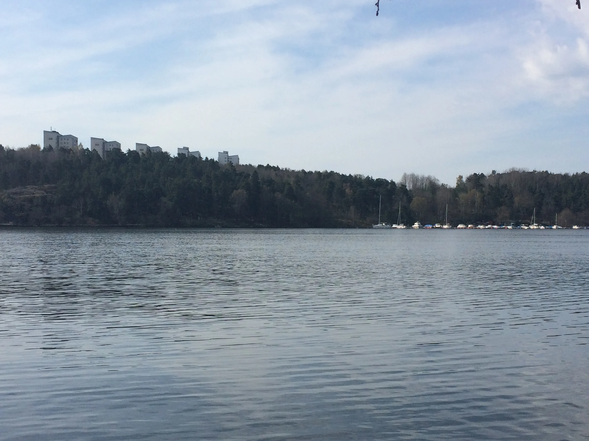 View from Tantolunden Park
