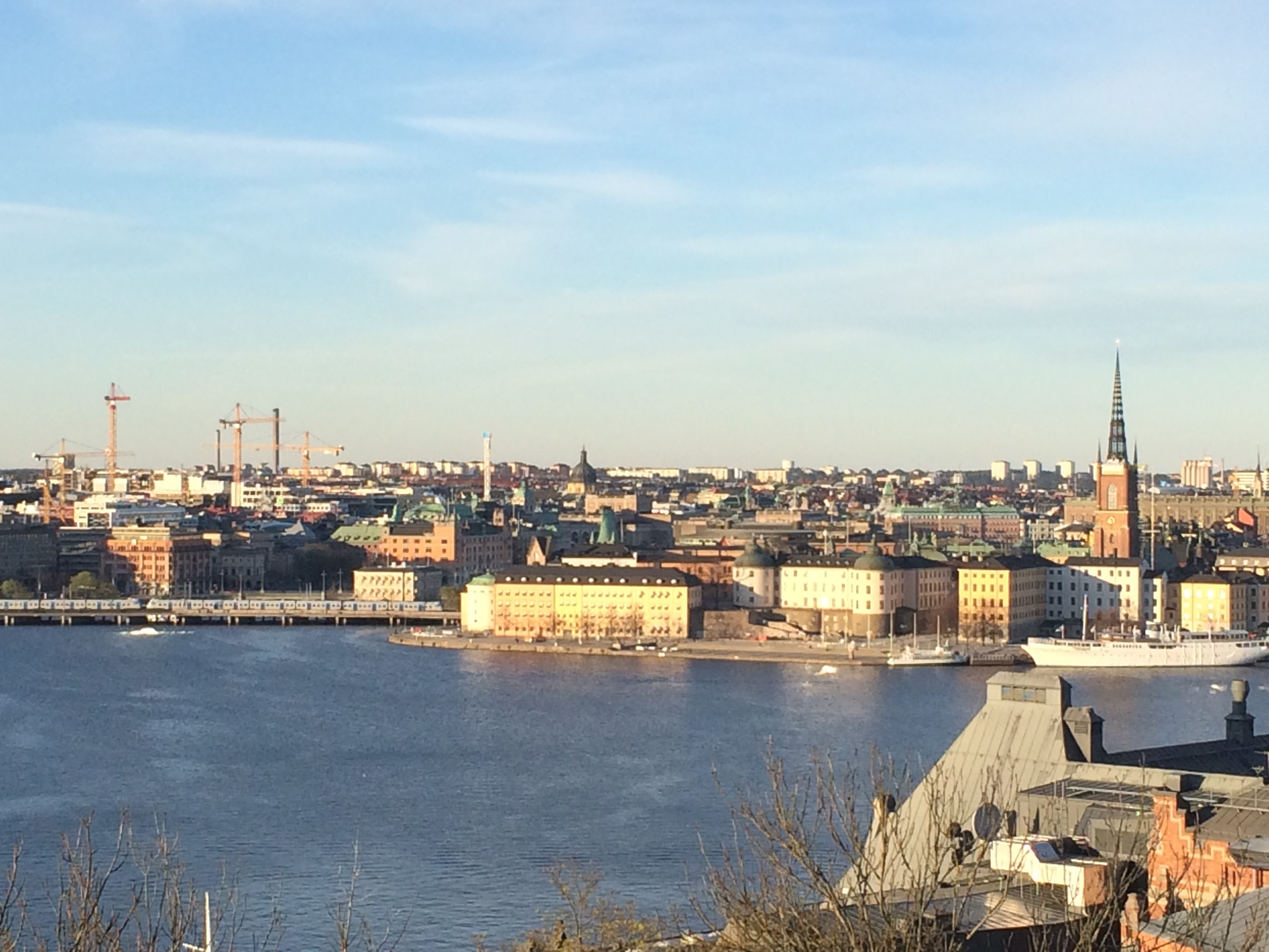 View of the city from Skinnarviksberget in Sodermalm
