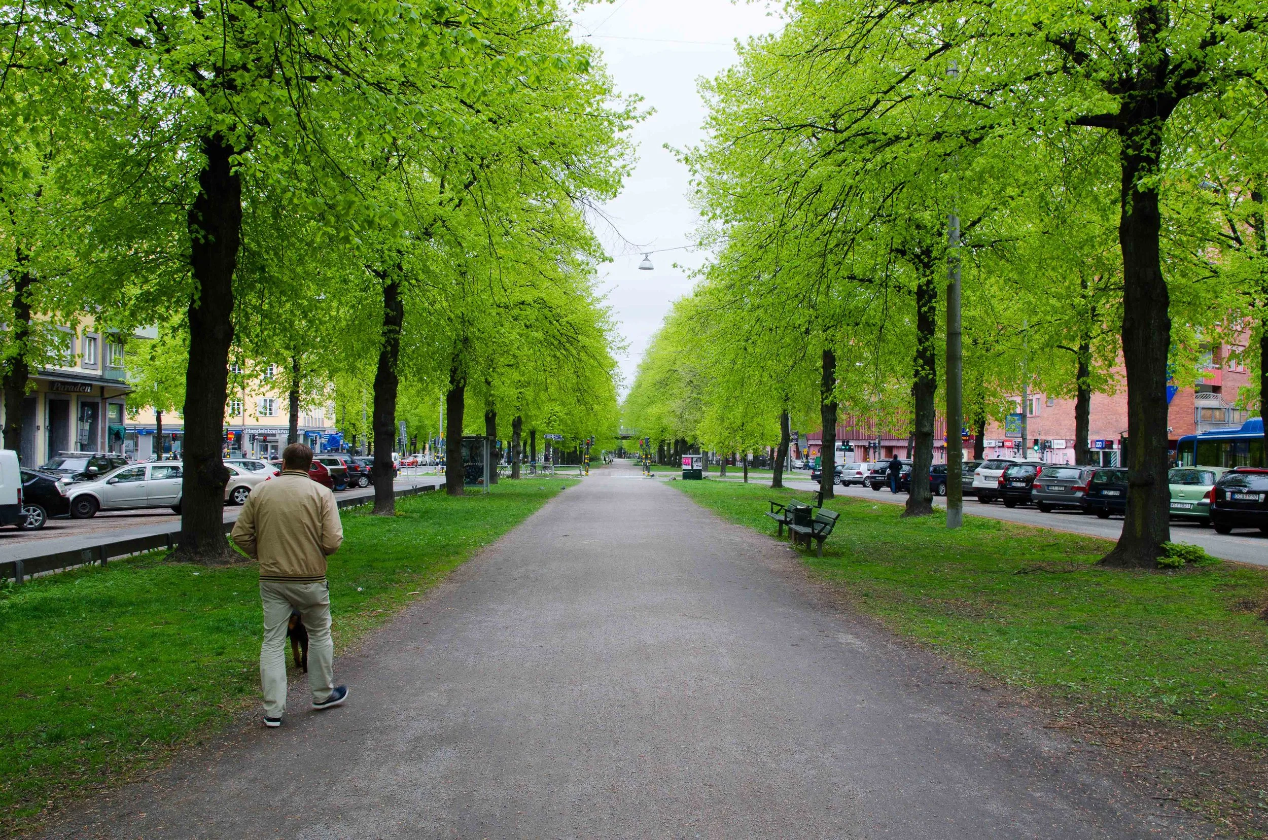 Karlavagen