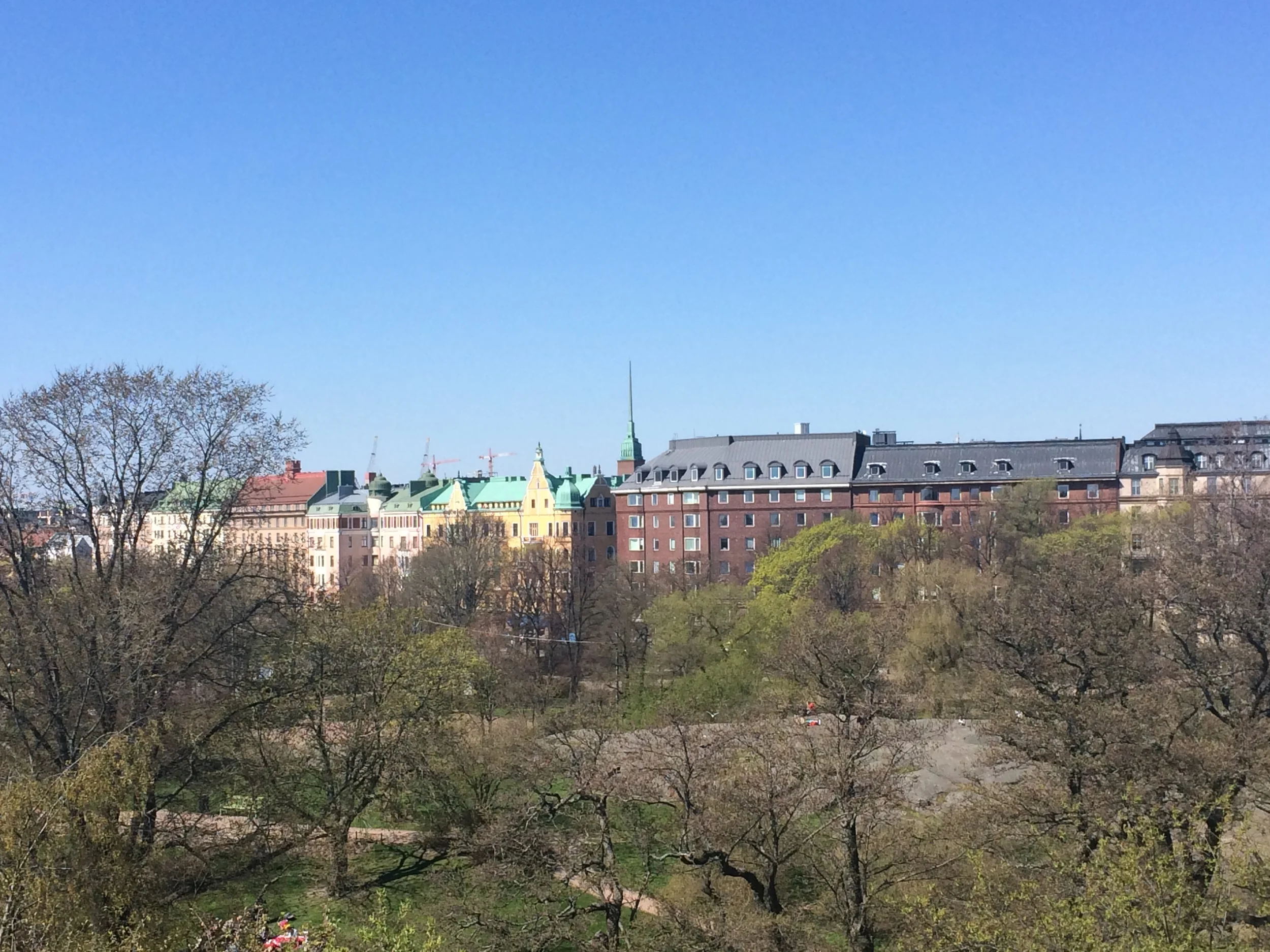 IMG_3641.JPG