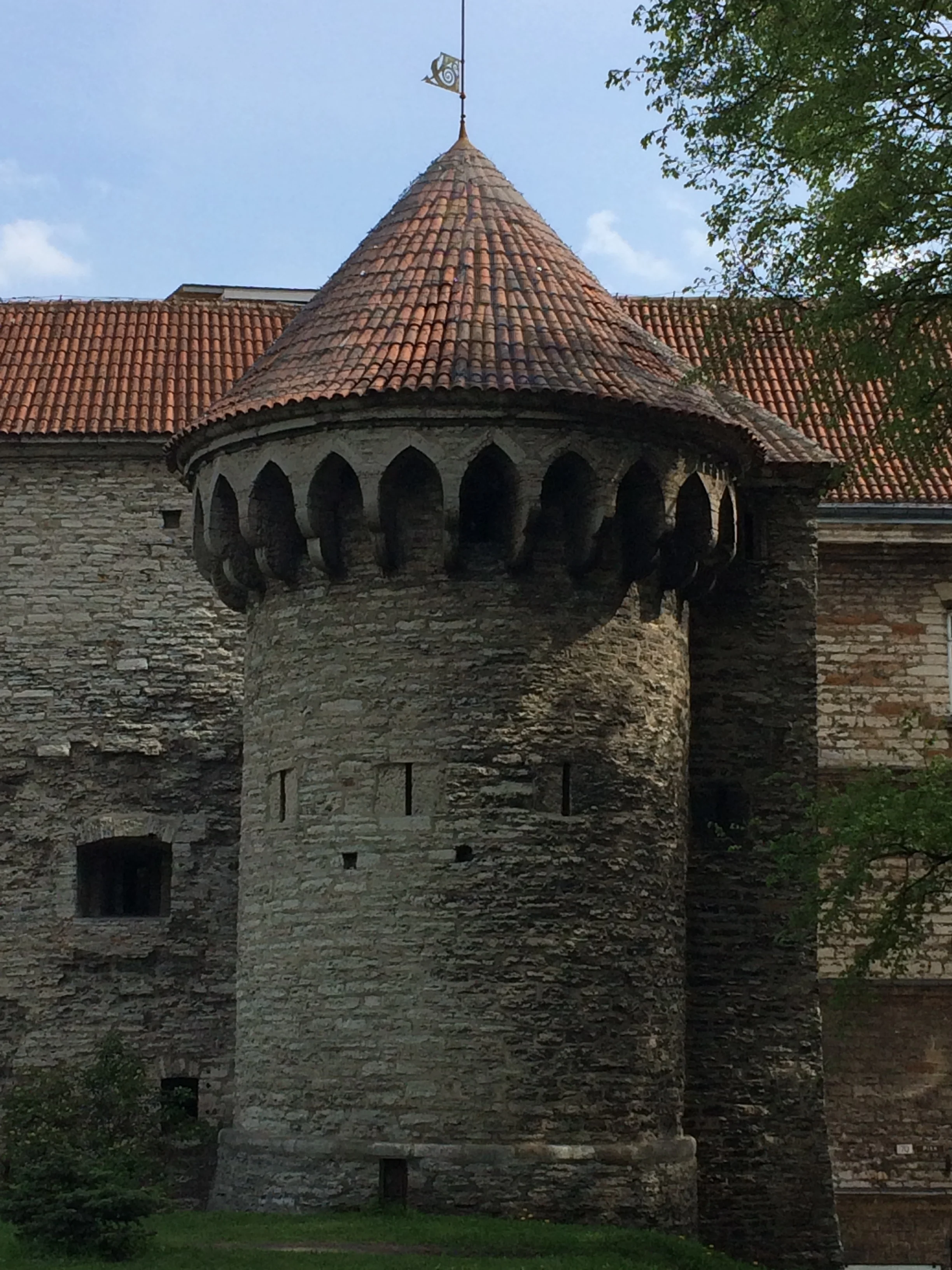 IMG_3907.JPG