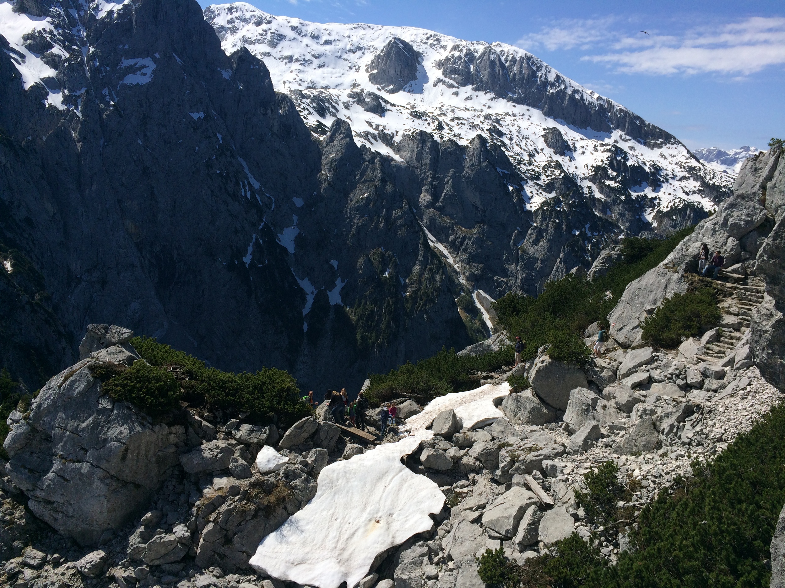IMG_4424.JPG