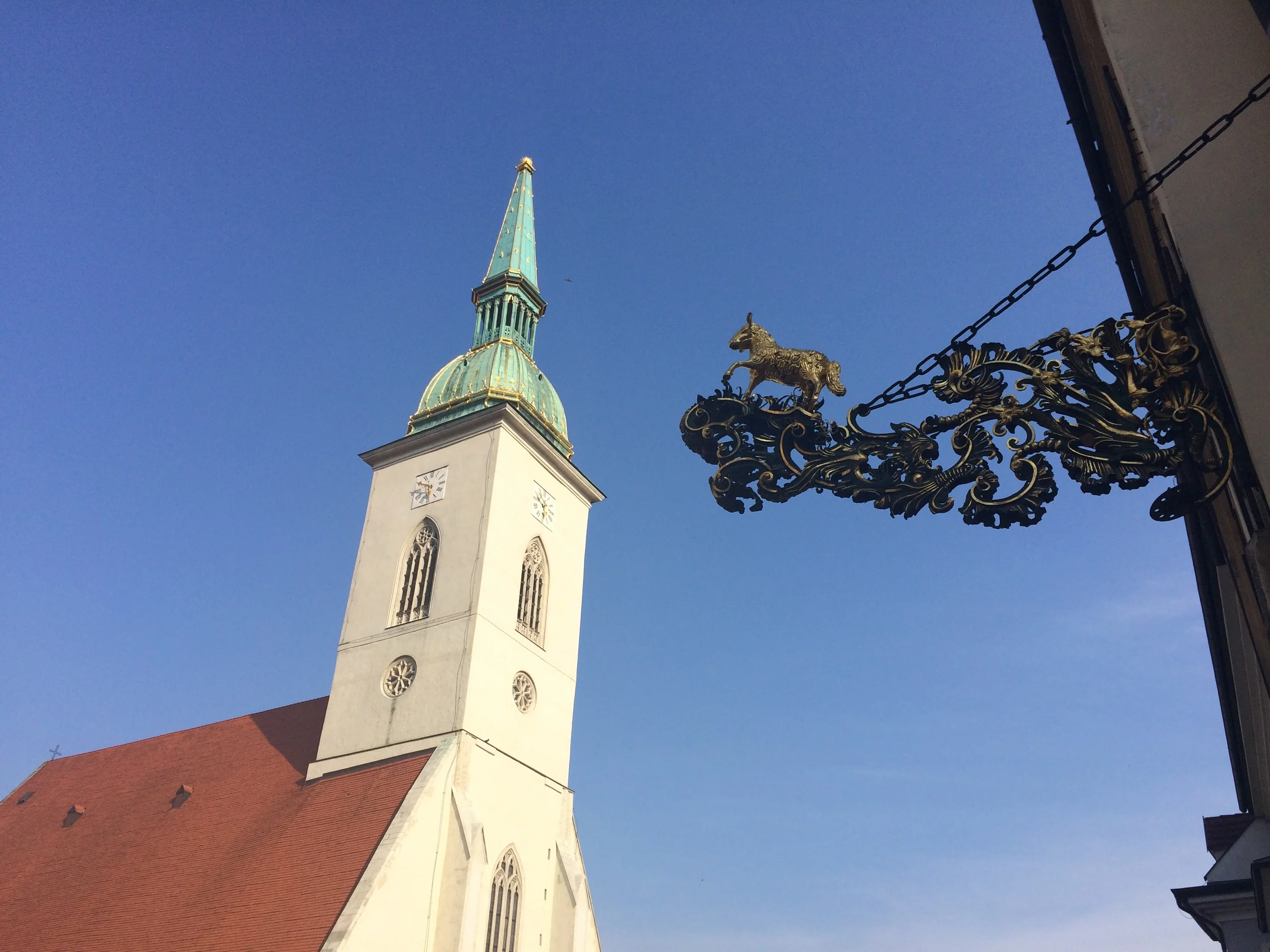 IMG_4477.JPG