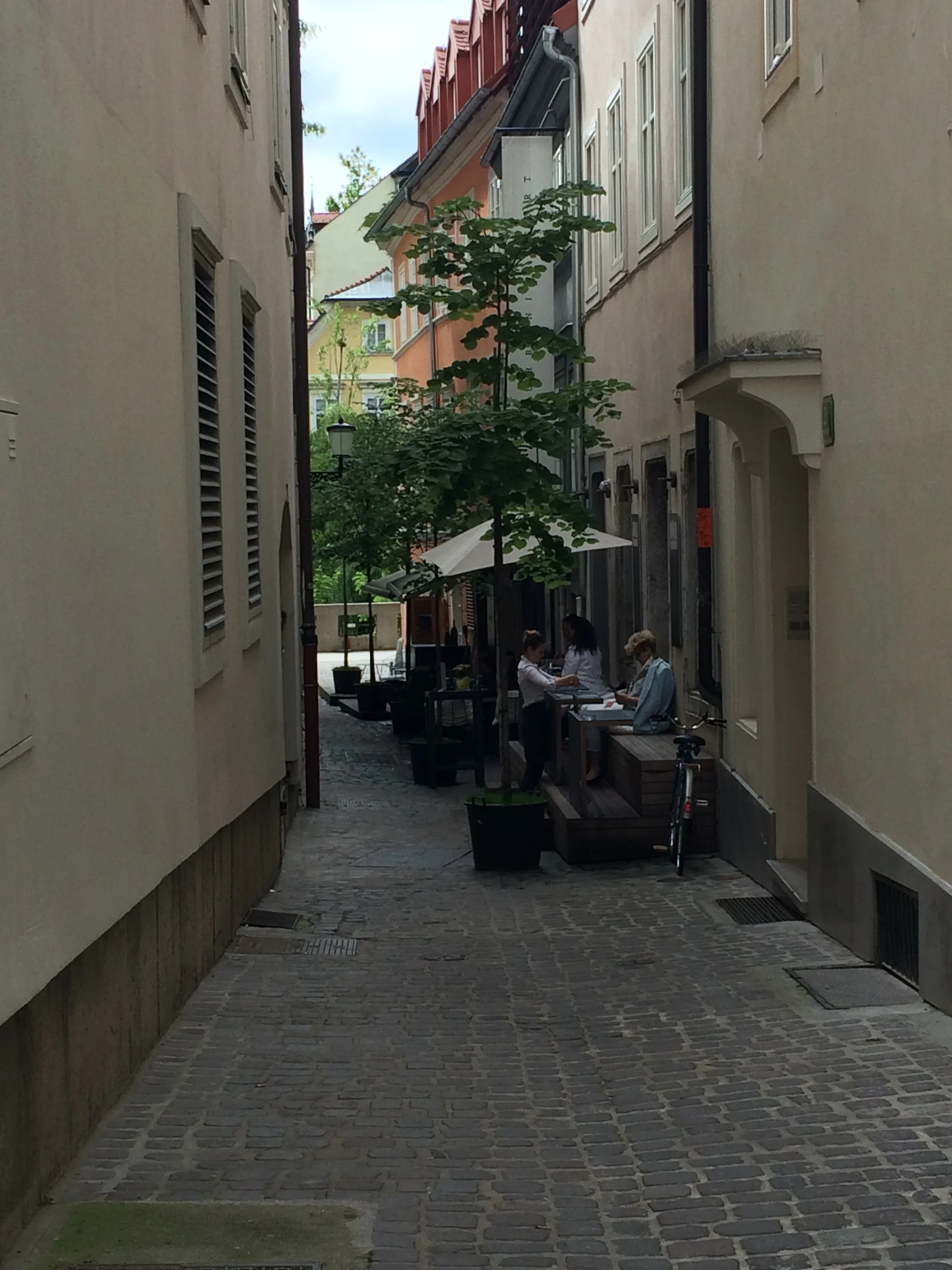 IMG_4937.JPG