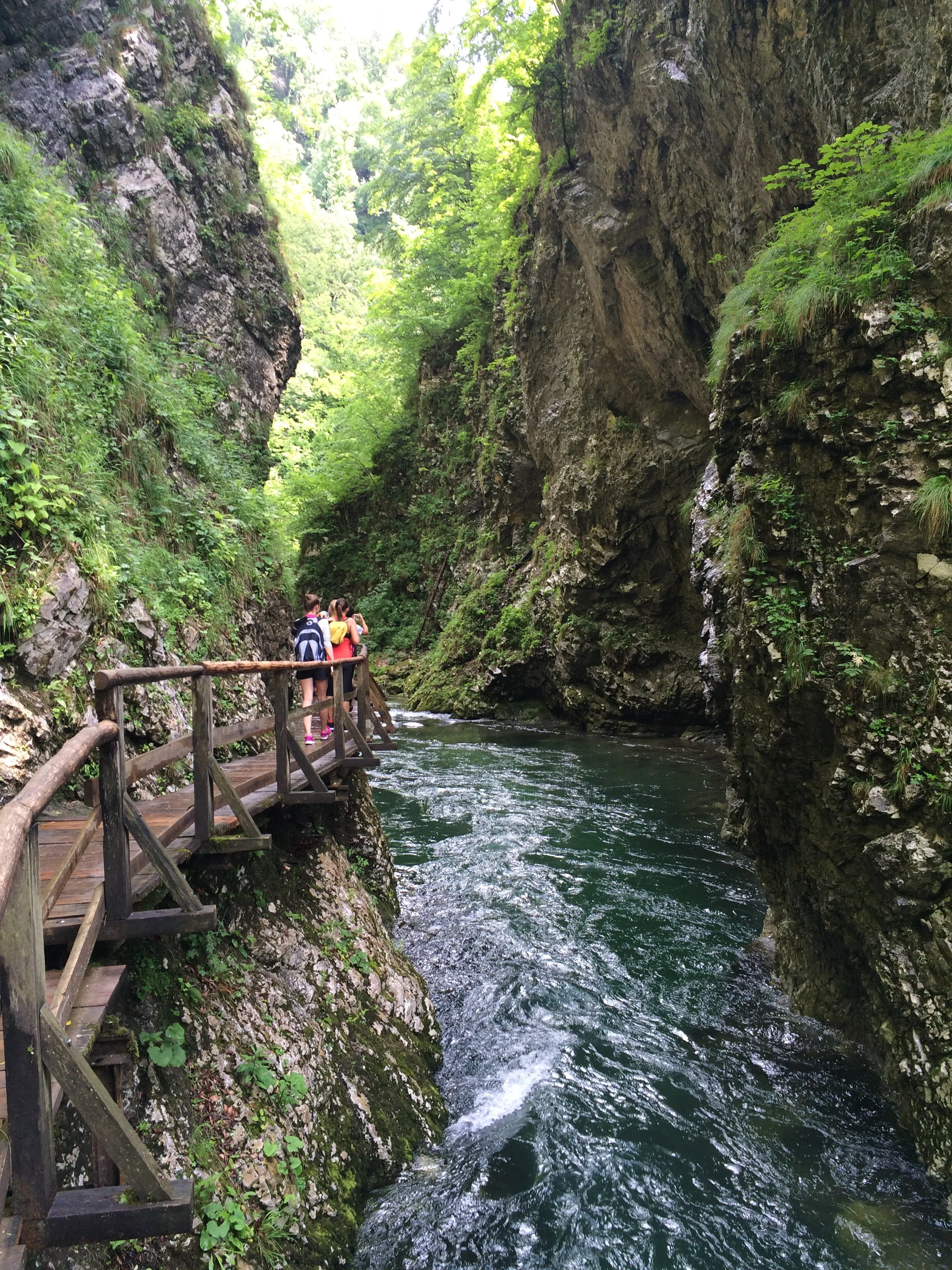 IMG_5203.JPG