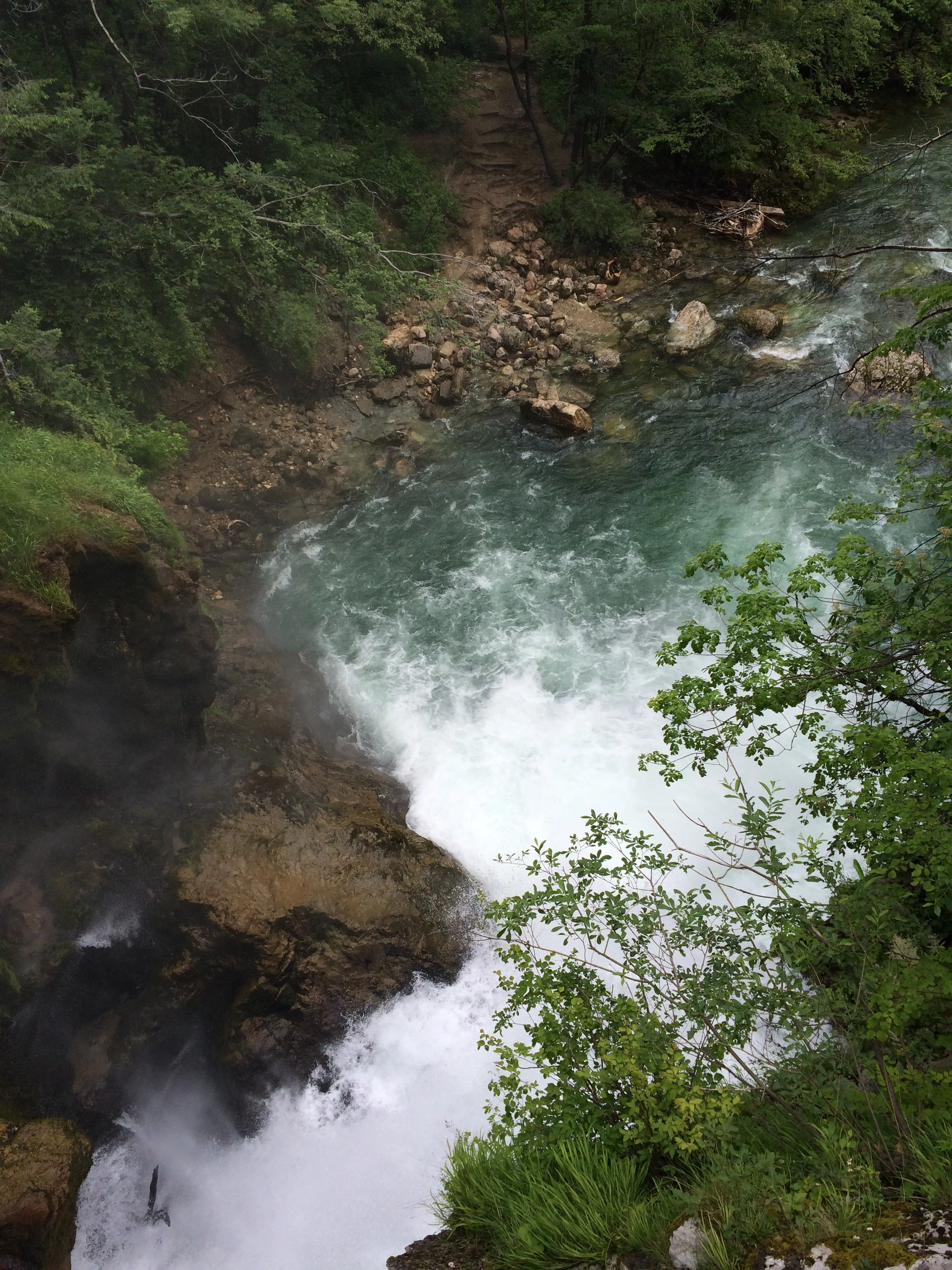 IMG_5217.JPG