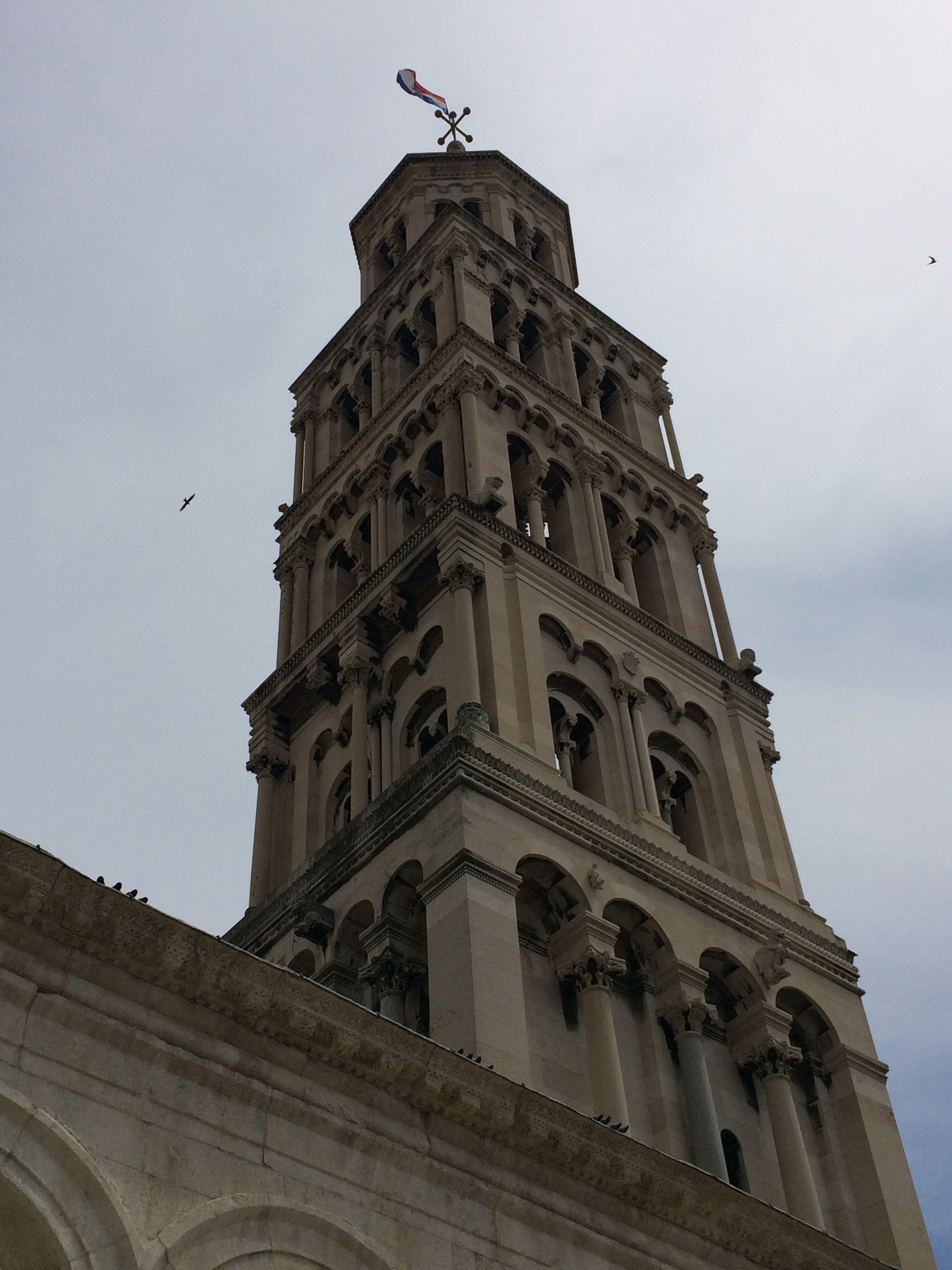 IMG_5585.JPG