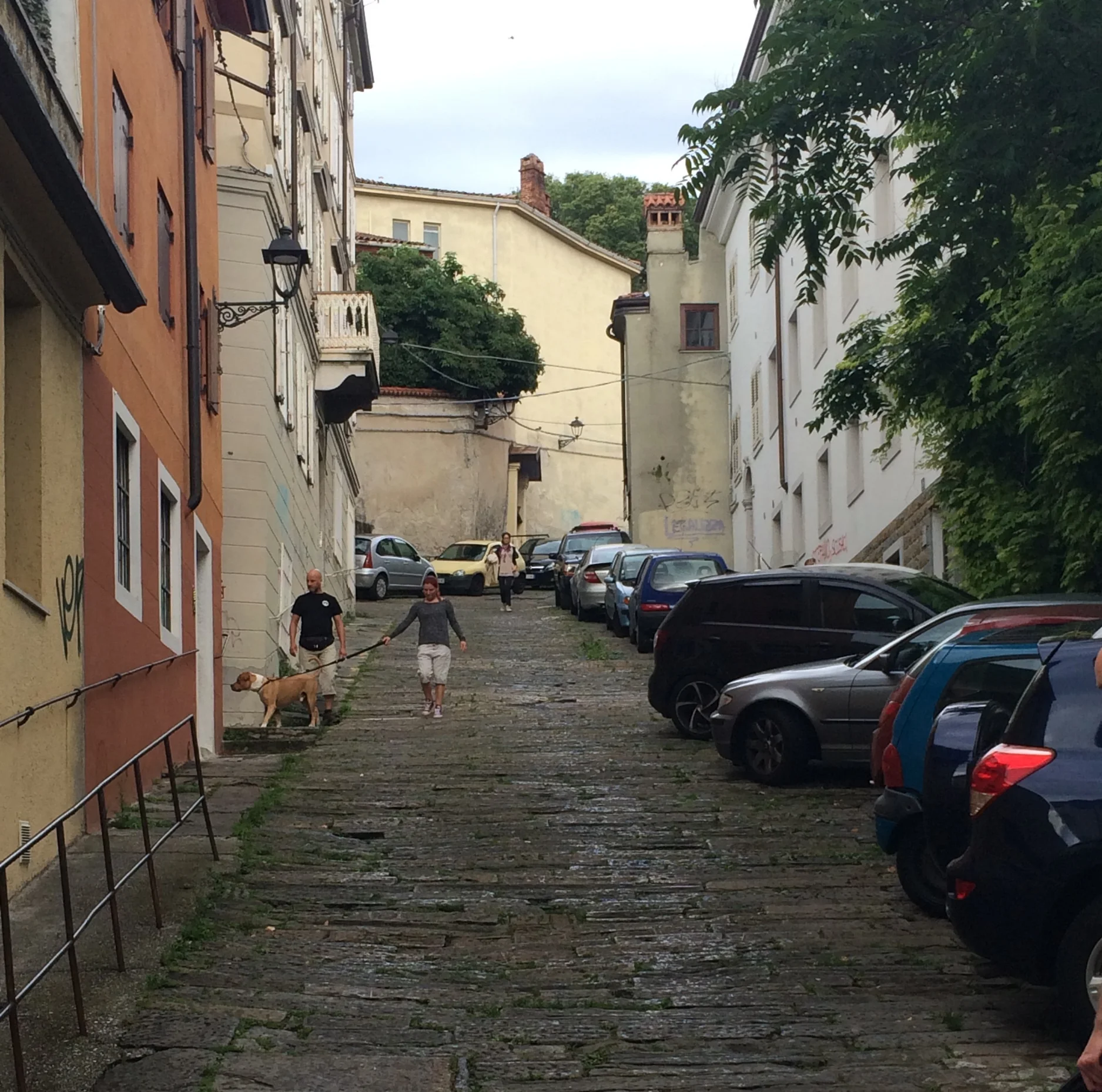 This is a two-way street. For cars. For real.