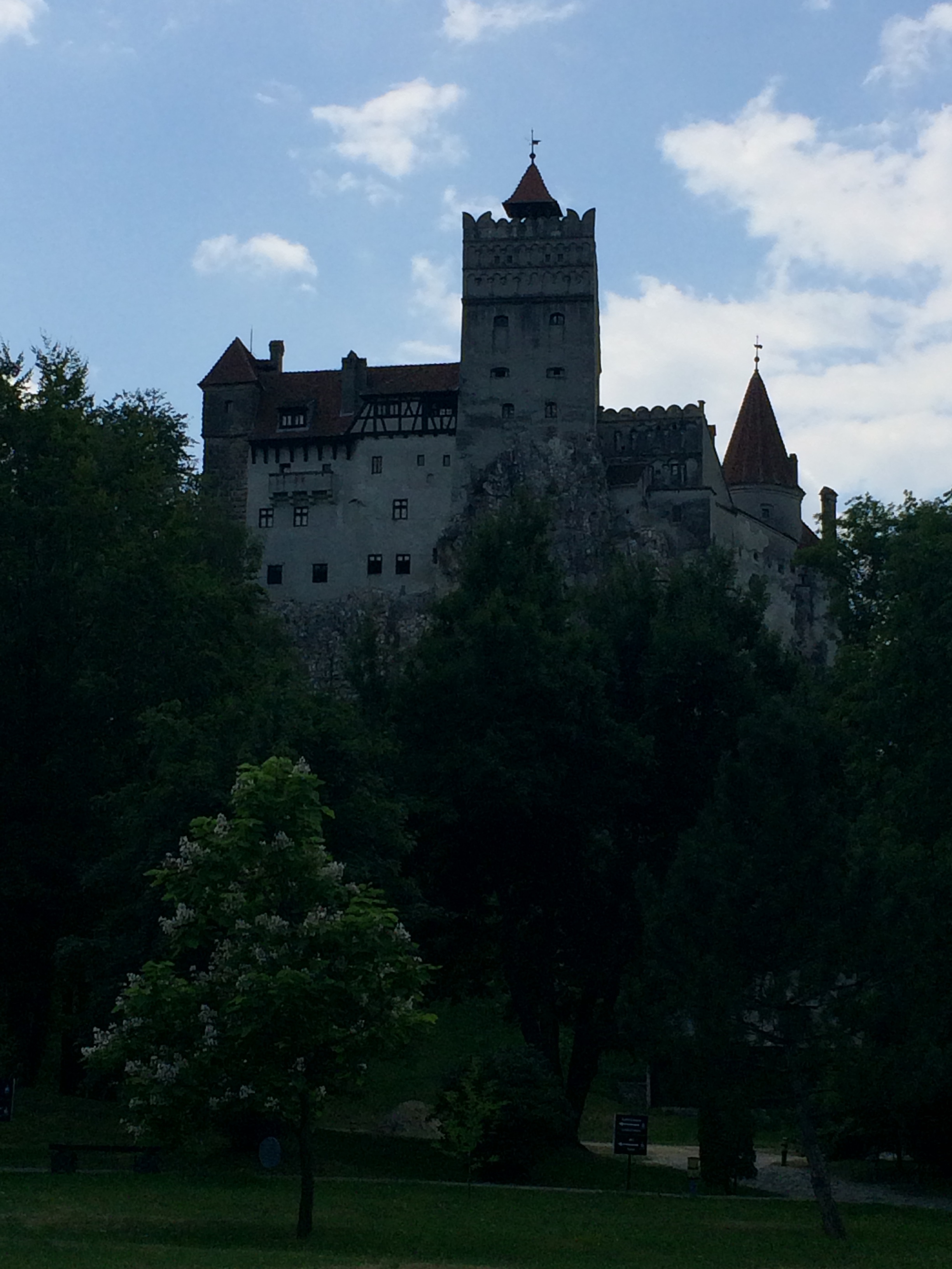 IMG_6509.JPG