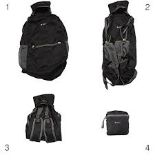 Friendly Swede Day Pack