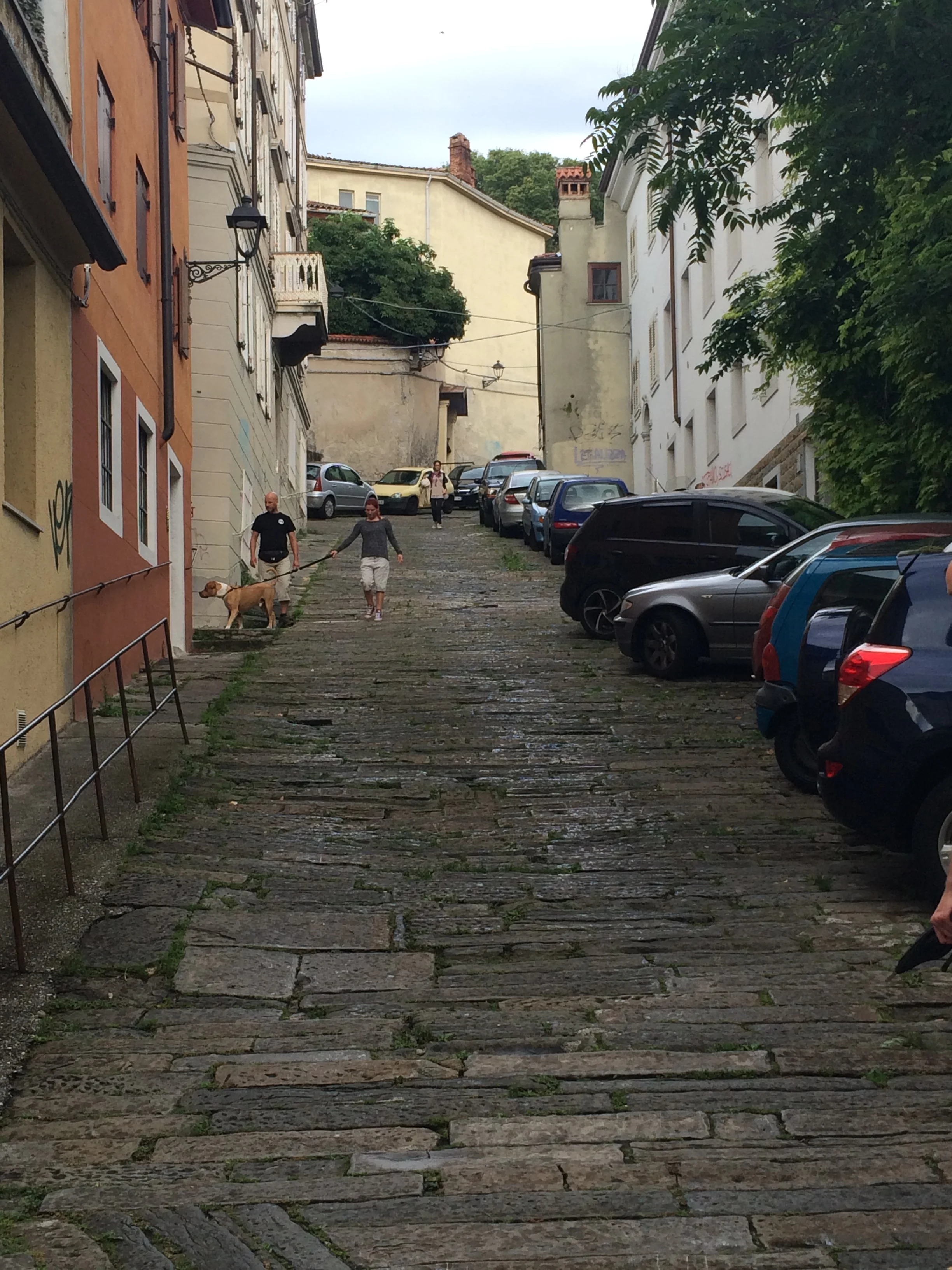 This is a two-way street. For cars. For real.