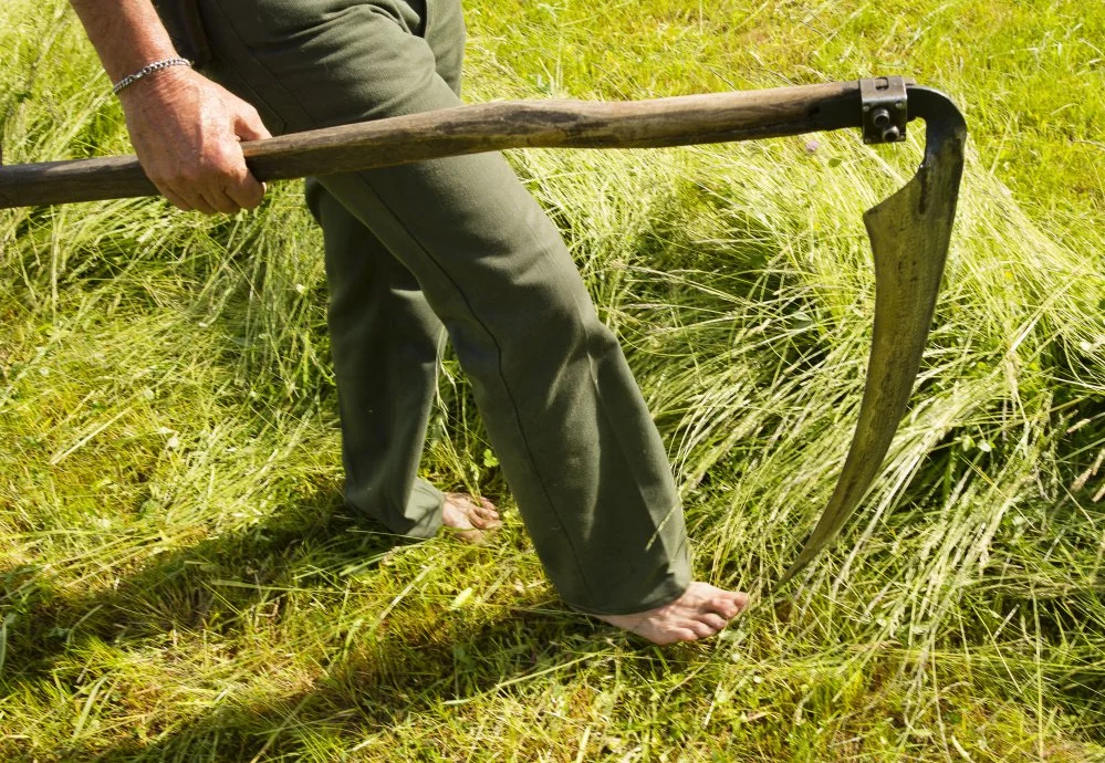 Not a sickle, a scythe.