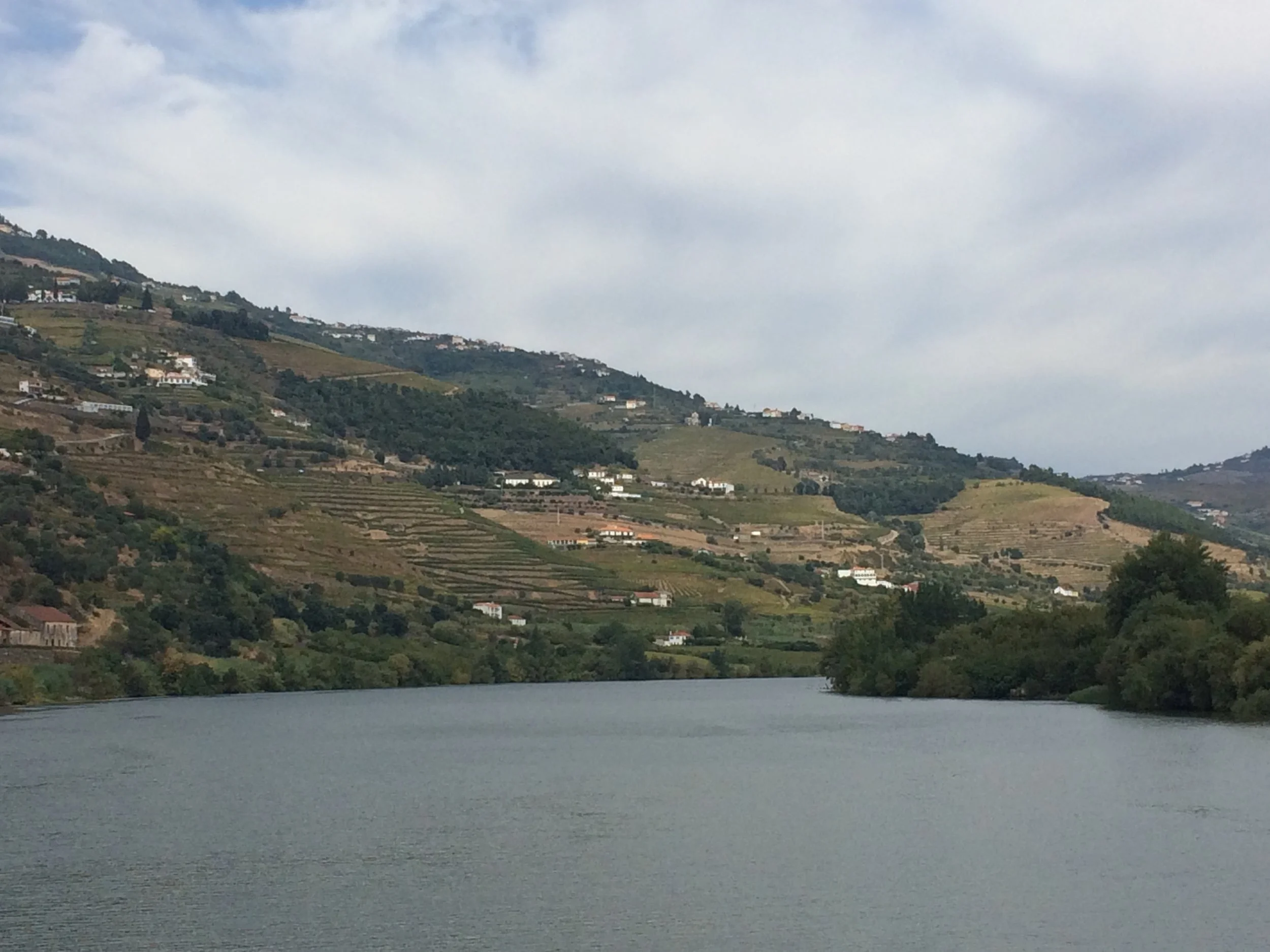 Vineyard terraces of the Douro Valley