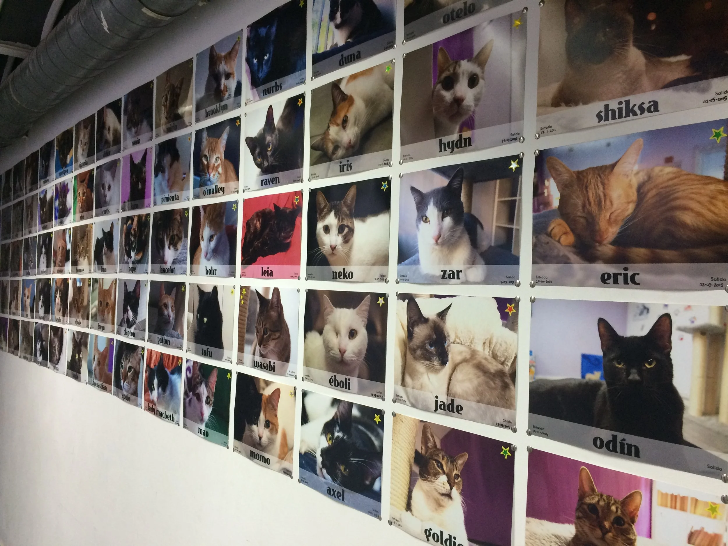 The Wall of Fame