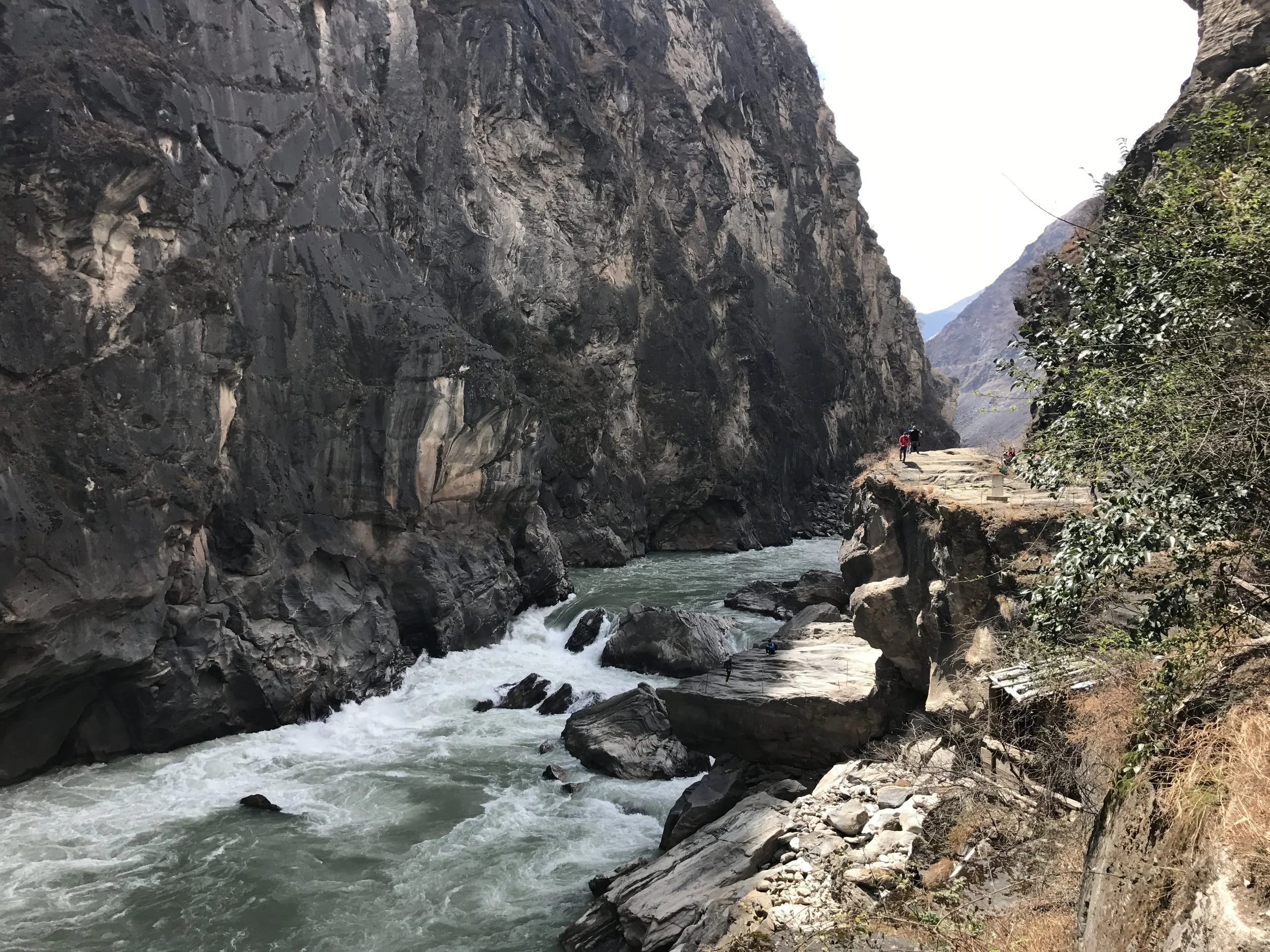 Could a tiger really leap across here?