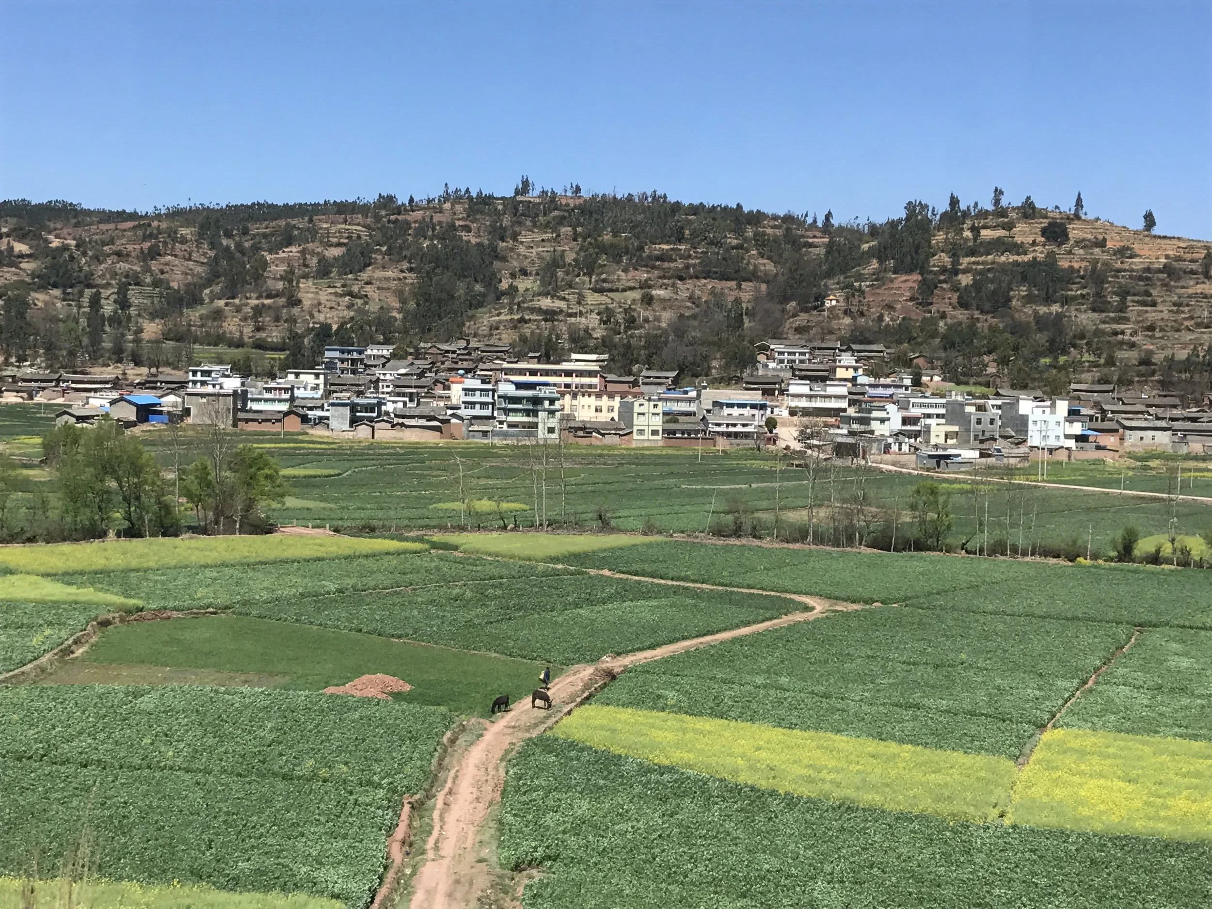 Yunnan countryside