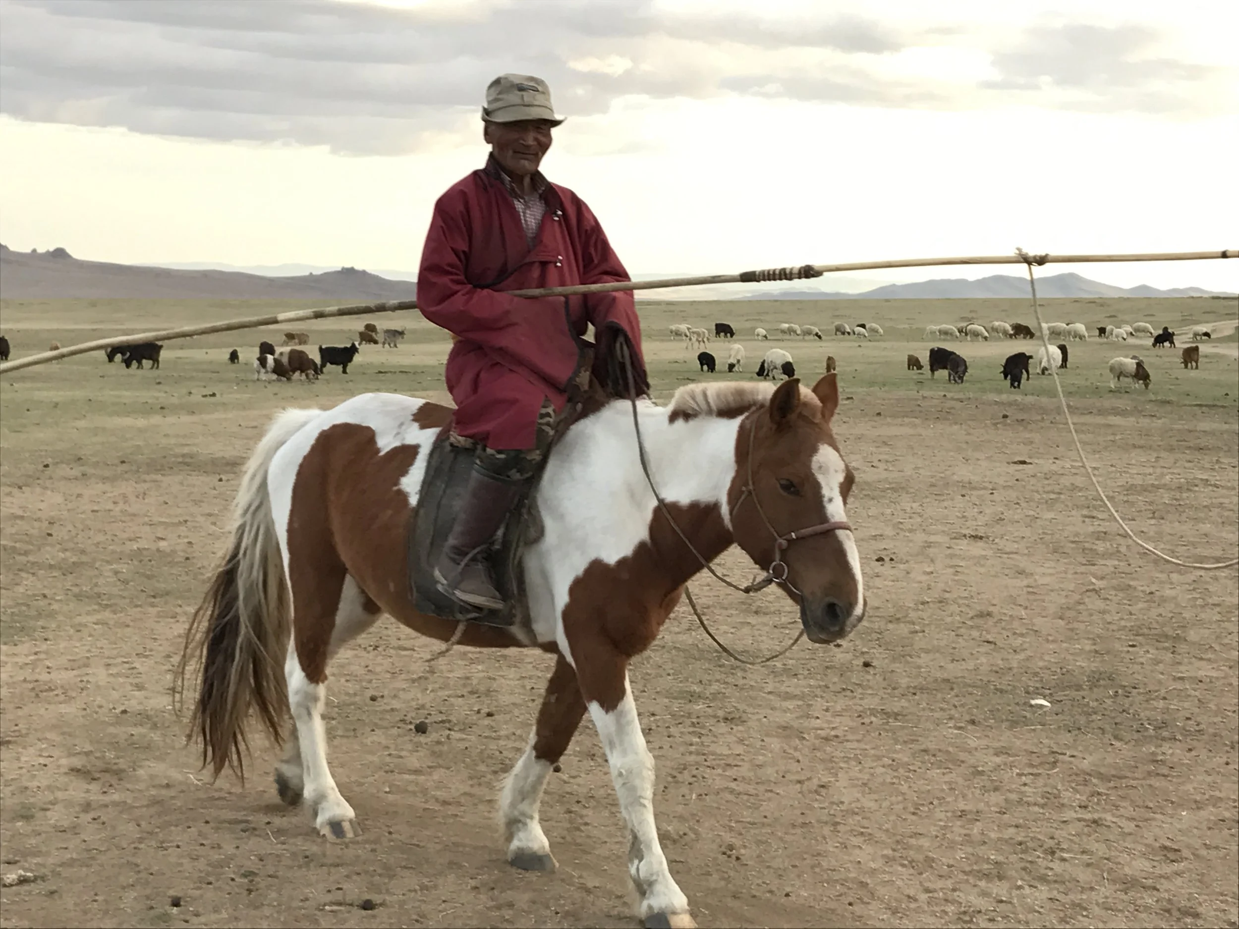 Bor on horse.JPG