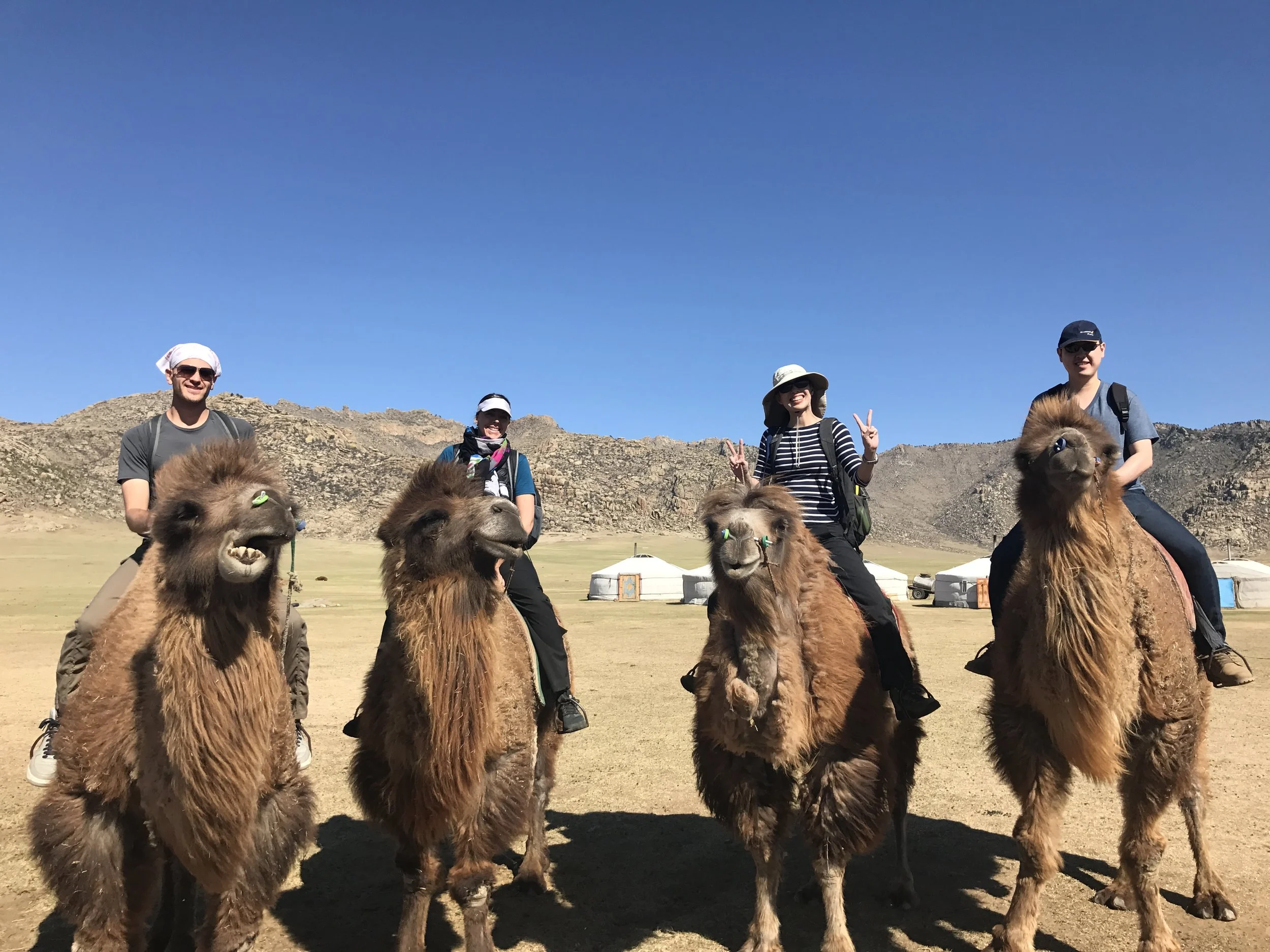 Group on camel.JPG