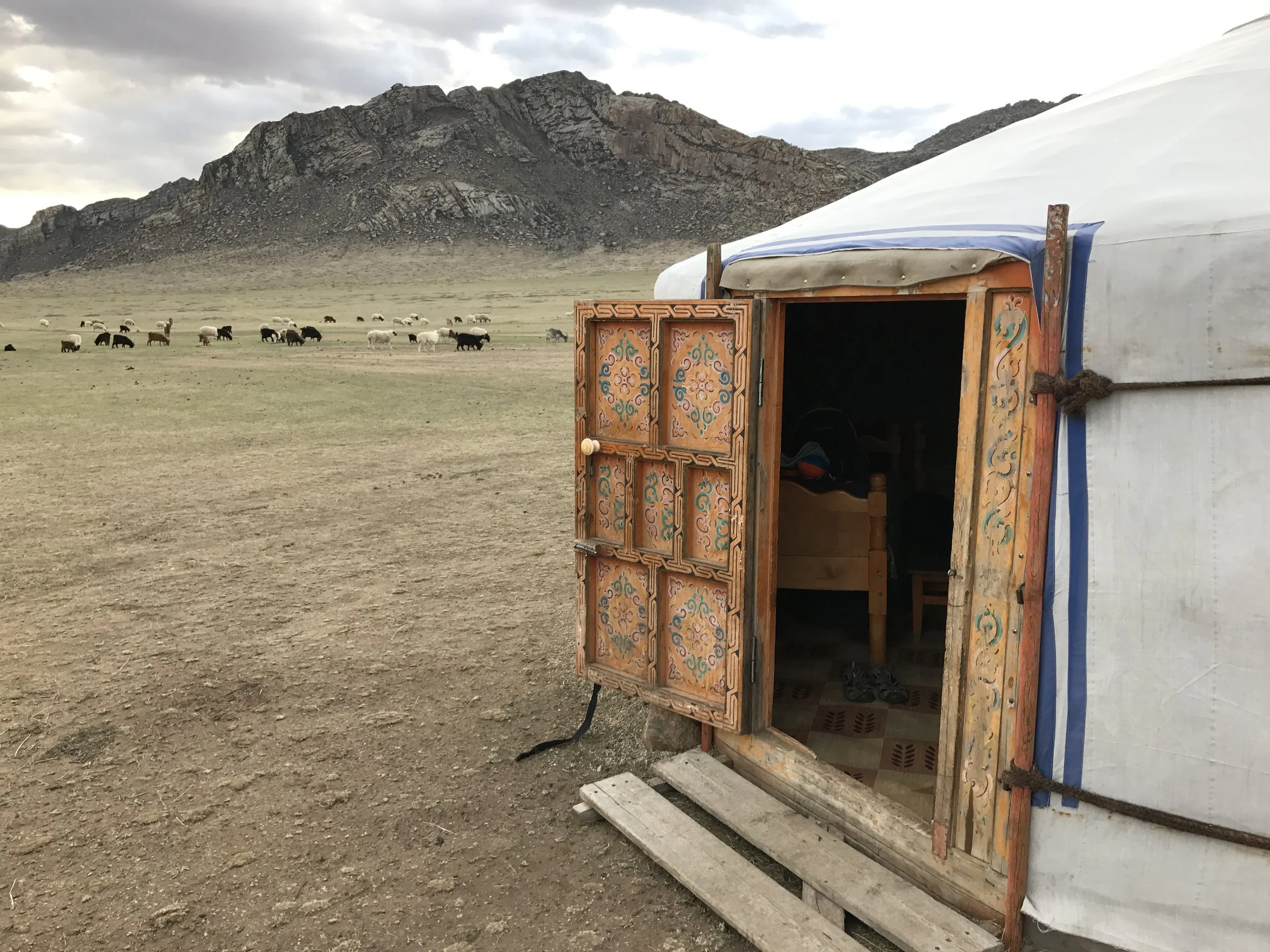 Home on the range, a ger!