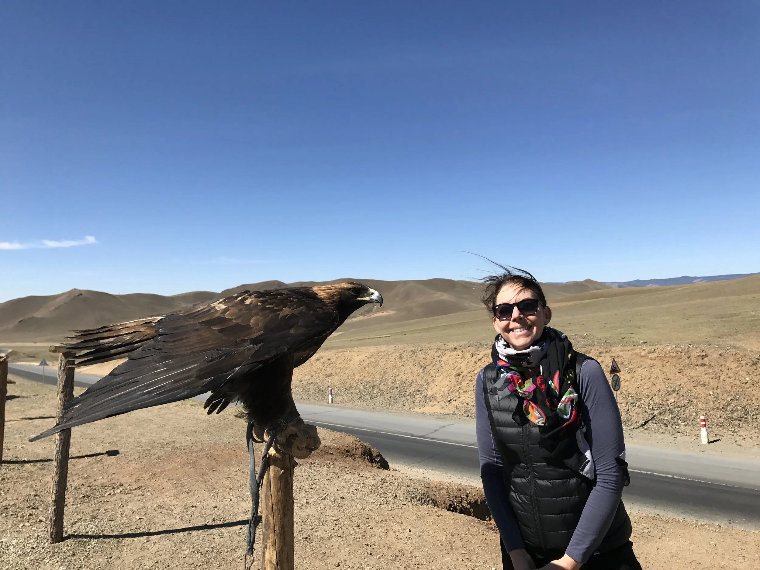 Golden Eagles are trained for hunting in western Mongolia