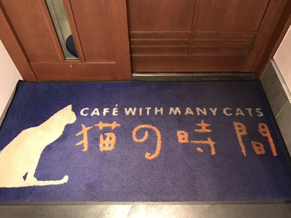 The Five Best Cat Cafes In Osaka Japan, What Is The Best Wood Flooring For Pets In Japan