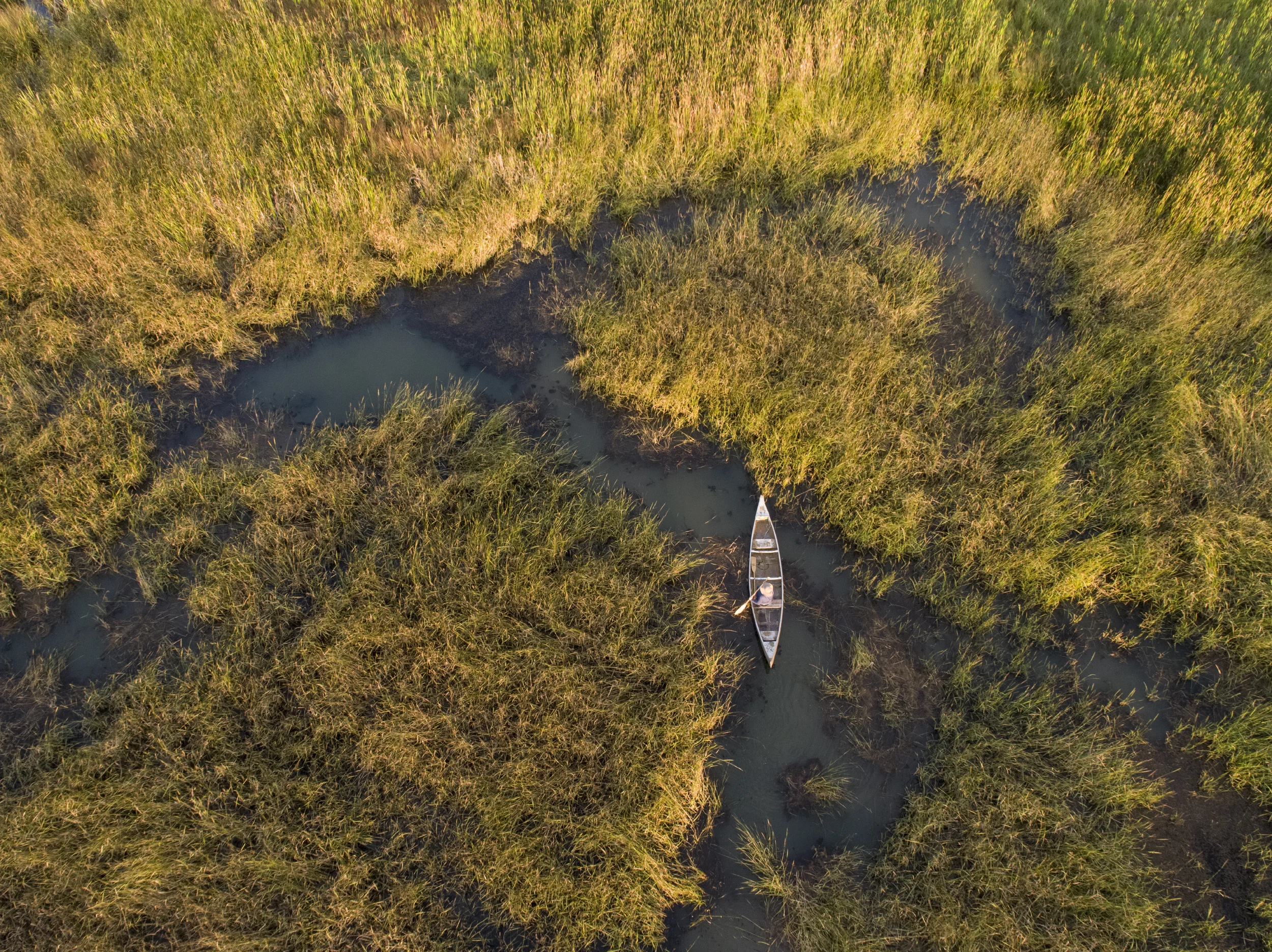 Wild Rice Harvest for Saveur Magazine