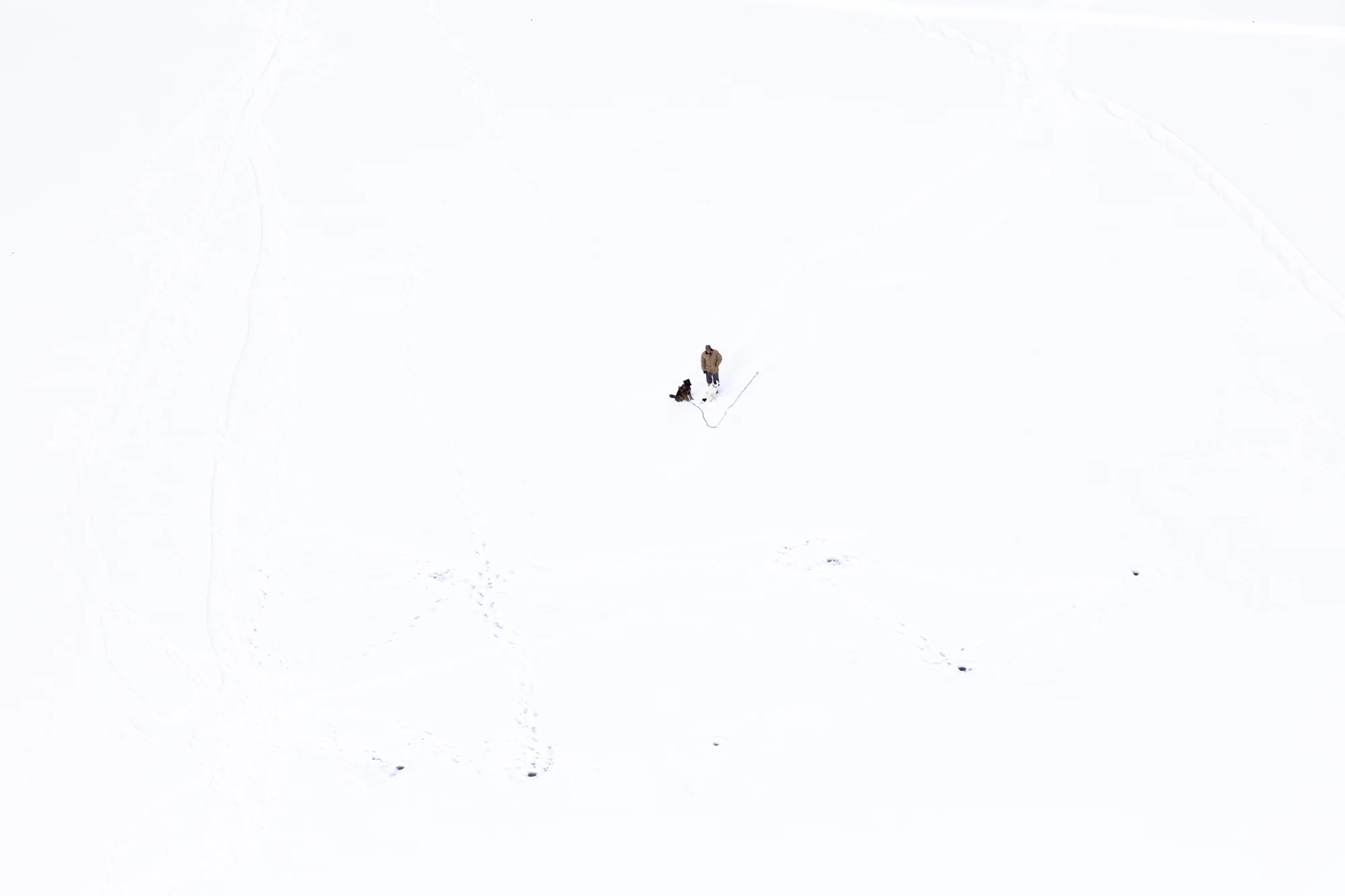  Winter Aerial in , , on Saturday, February 6, 2019. 

Photo by Jenn Ackerman
@ackermangruber 