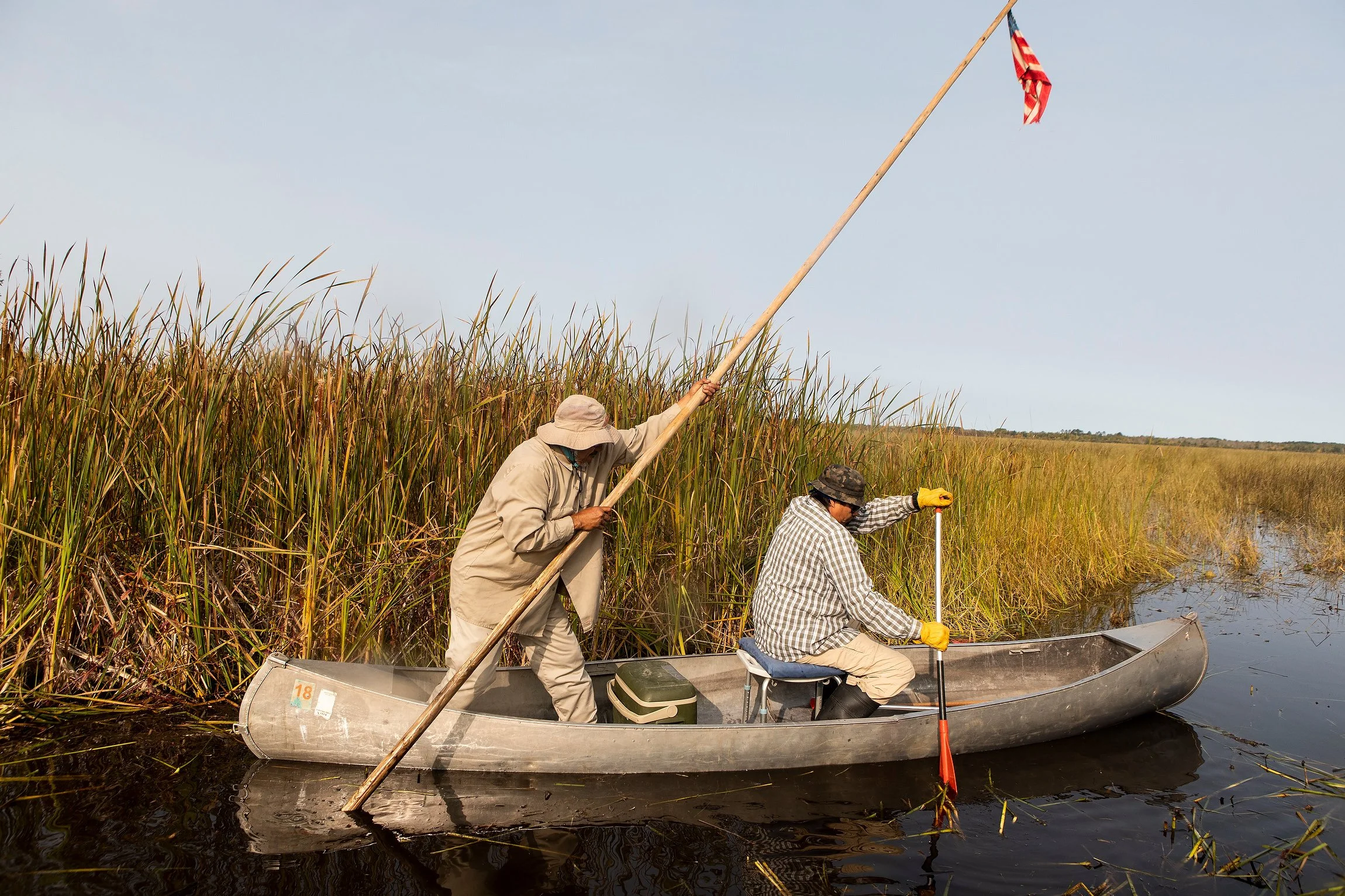 Wild Rice Harvest for Nature Magazine