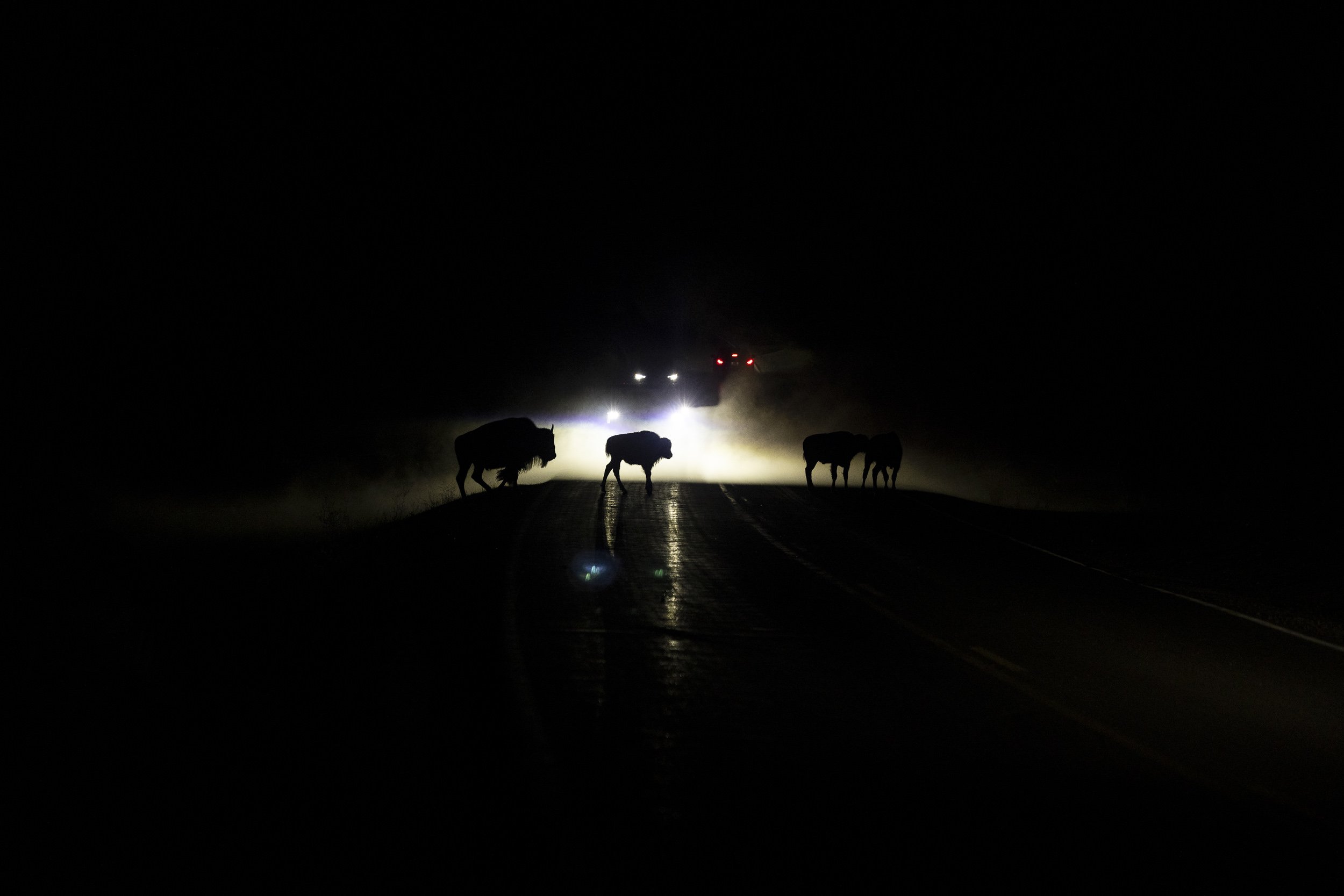 The Return of an American Titan for The National Gallery of Art