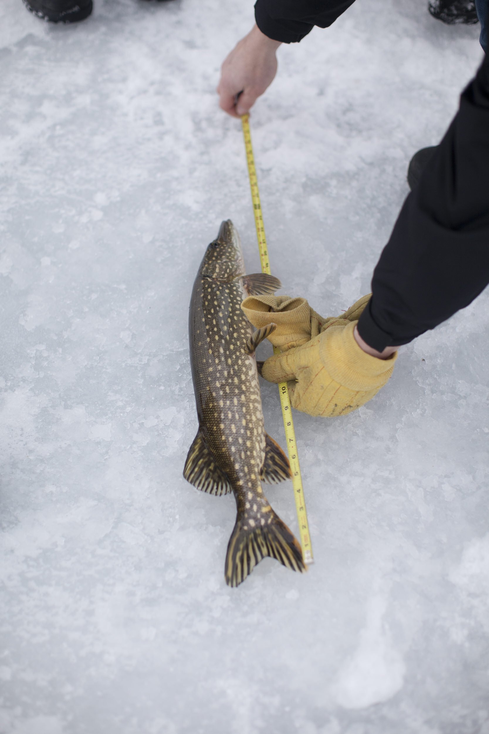 MinnesotaIceFishing_16.jpg