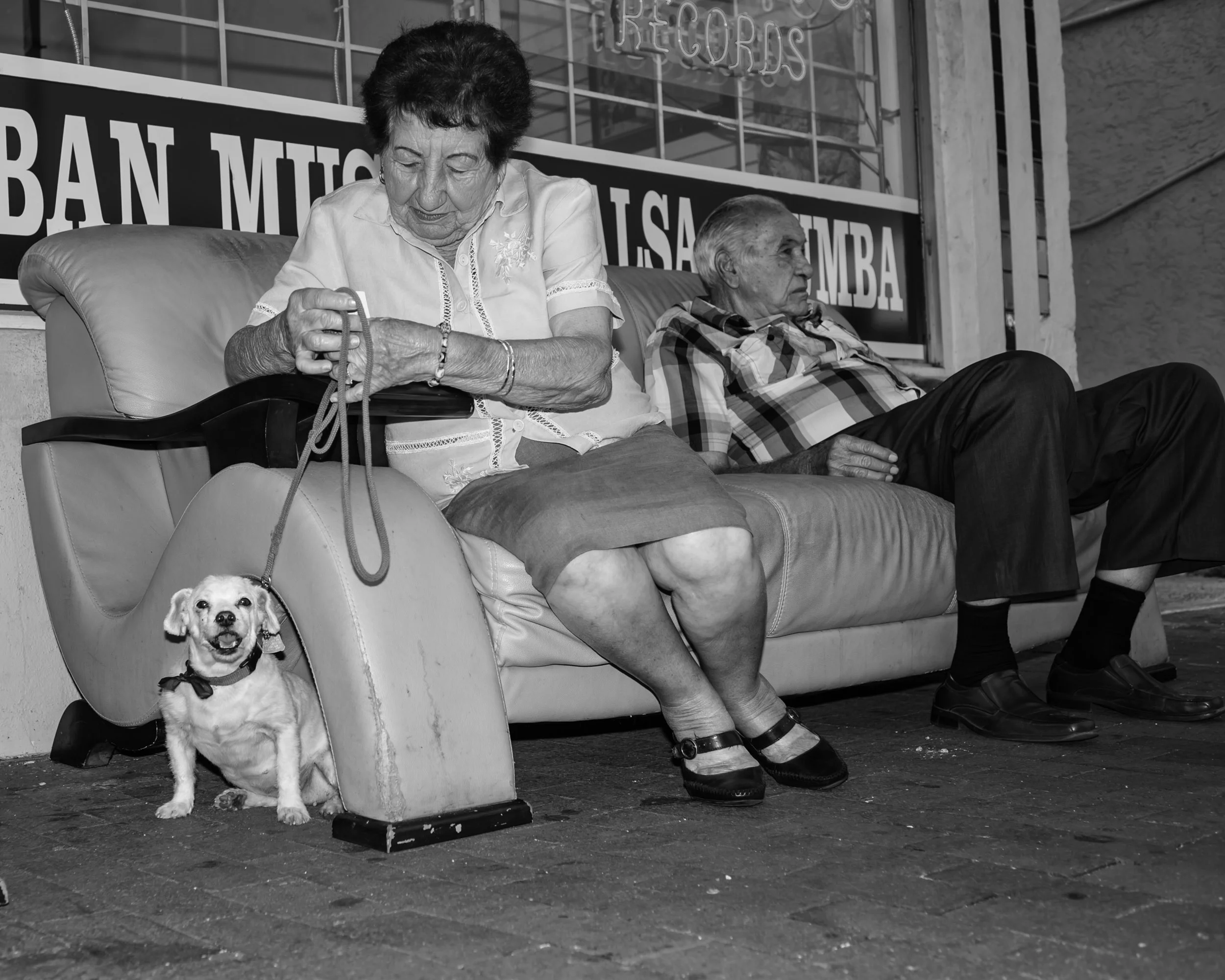 couch-dog-647.jpg