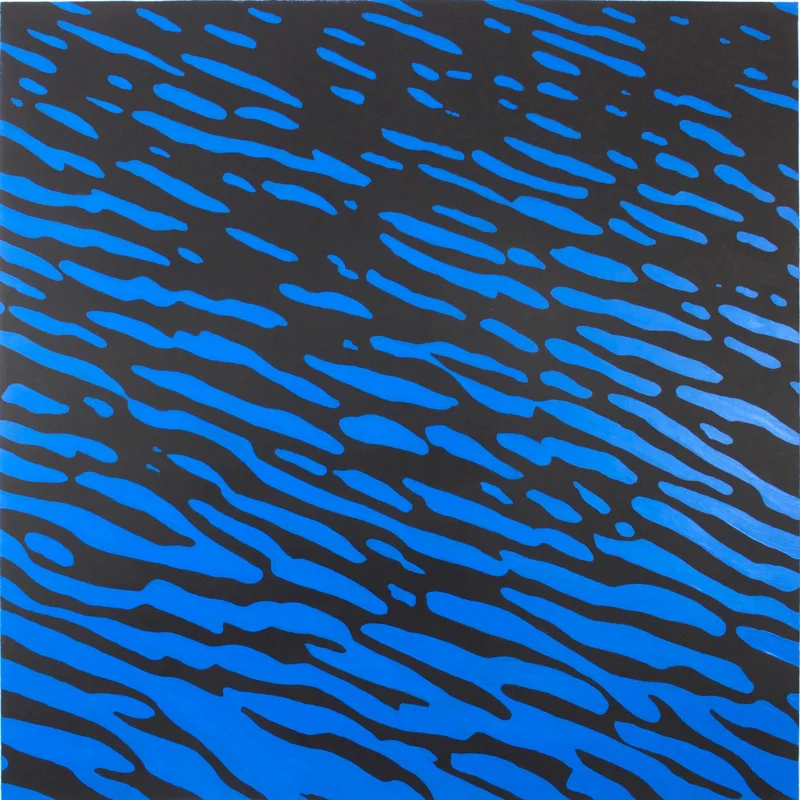 Dark Ripple