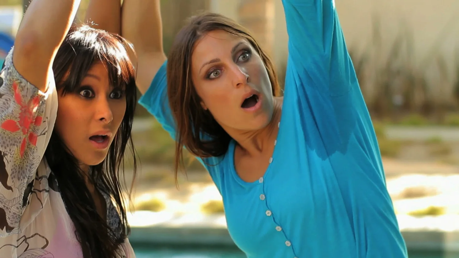 Degree Cat Fight 60.jpeg