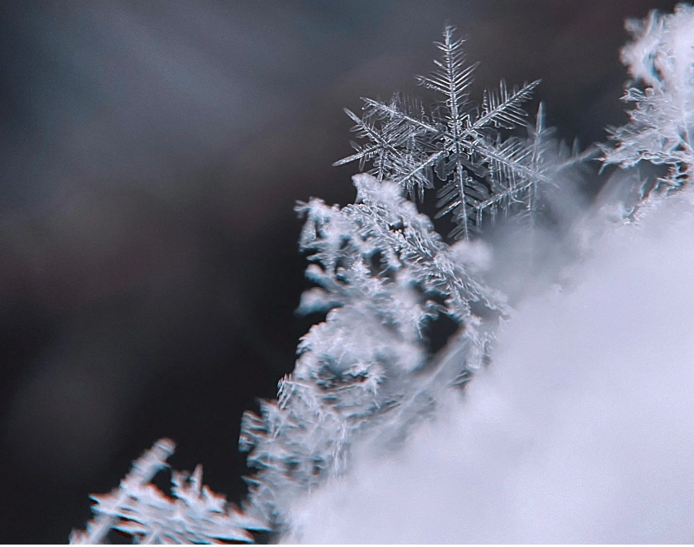 Get Ready for AI Assisted FDA Inspections Part 2/3