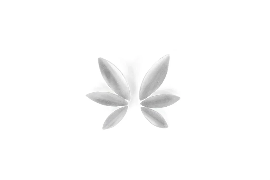 Small+Lupine.jpg