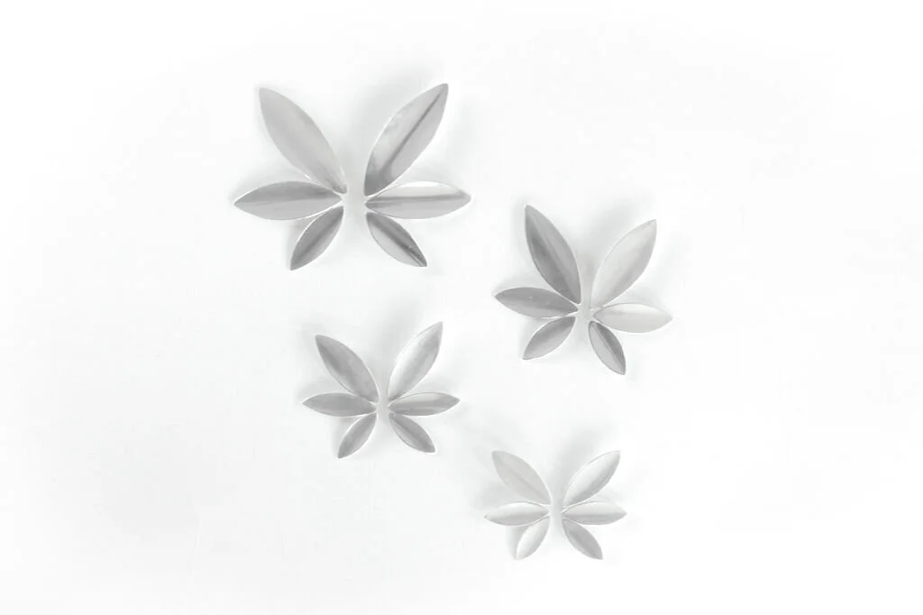 Lupine+Suite.jpg