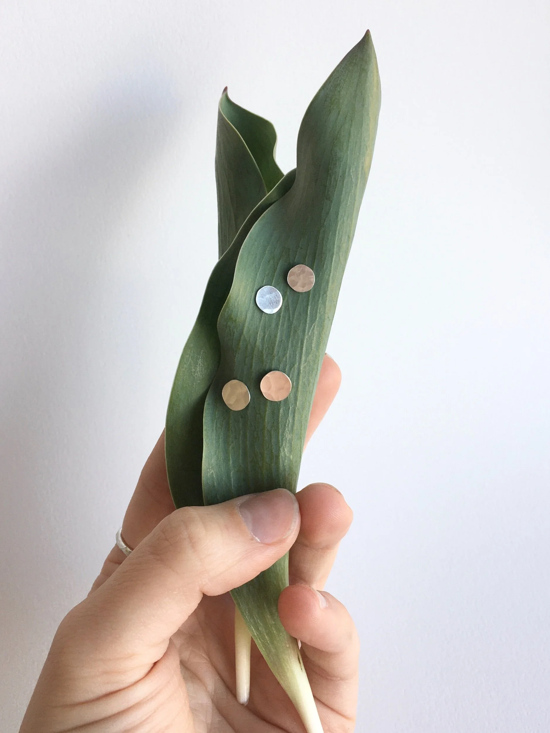 BA101471-407C-4ADA-90E0-121AE47C71FD