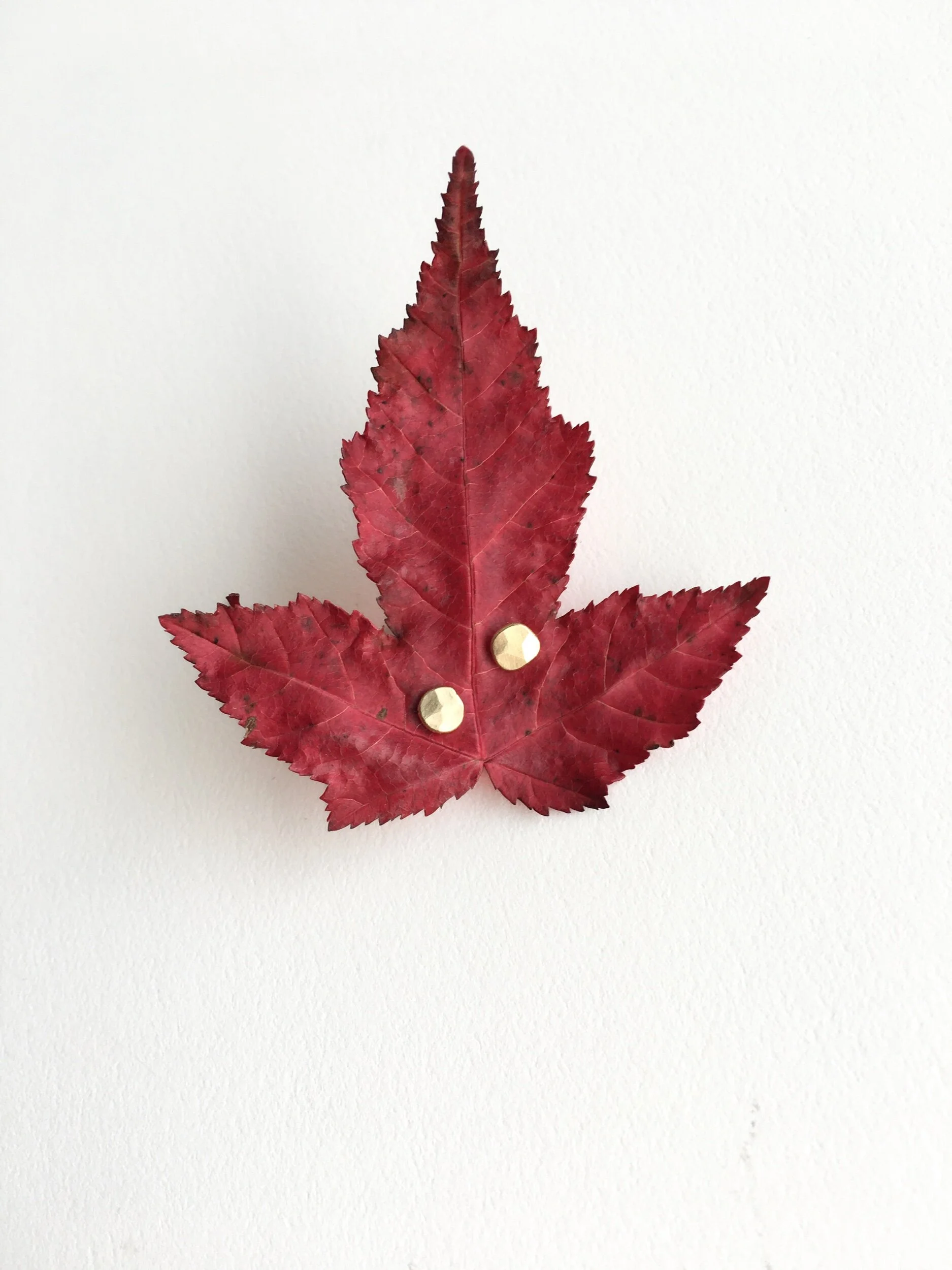 DDE75CC3-22CB-4198-95BB-6C77BAA3FE13