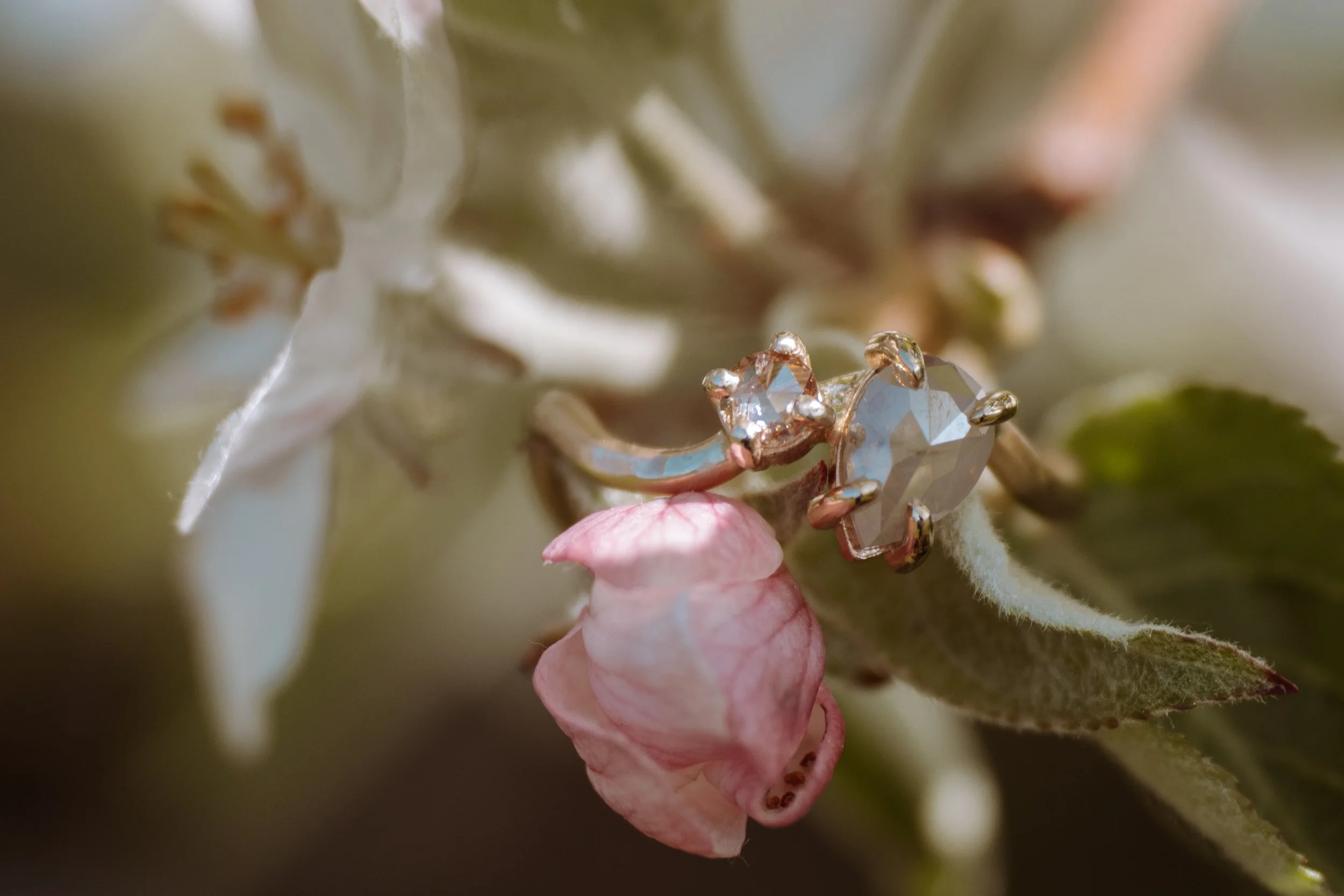 springrings-3.jpg