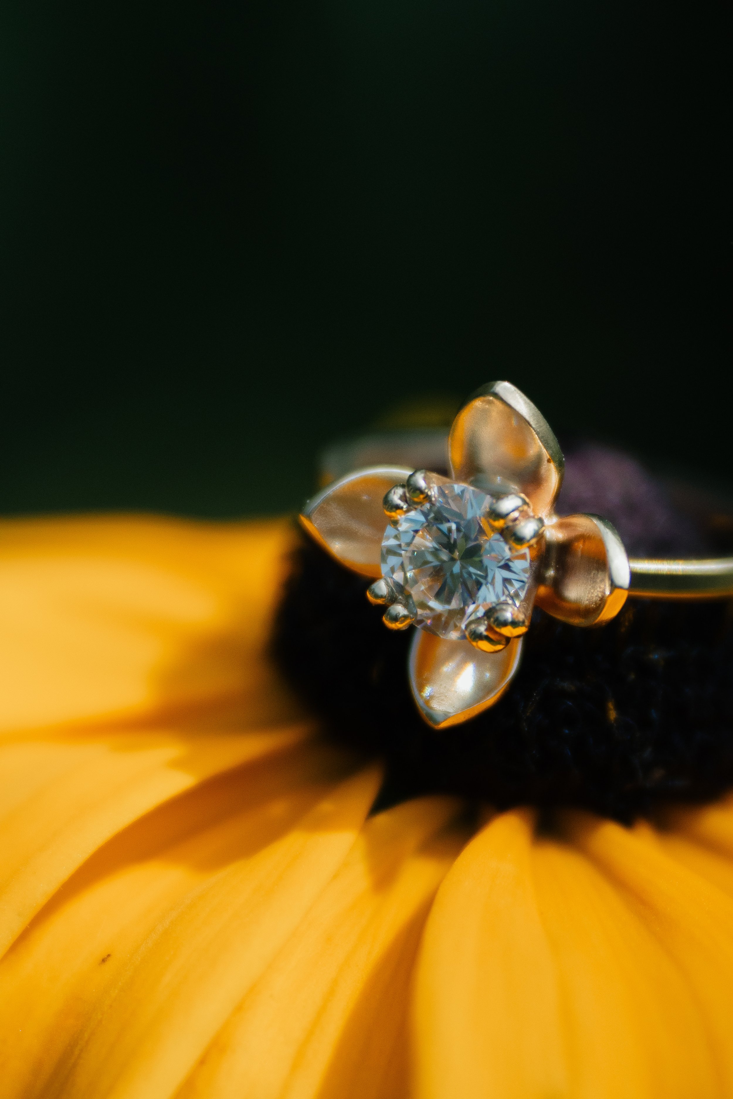 abundance-26.jpg