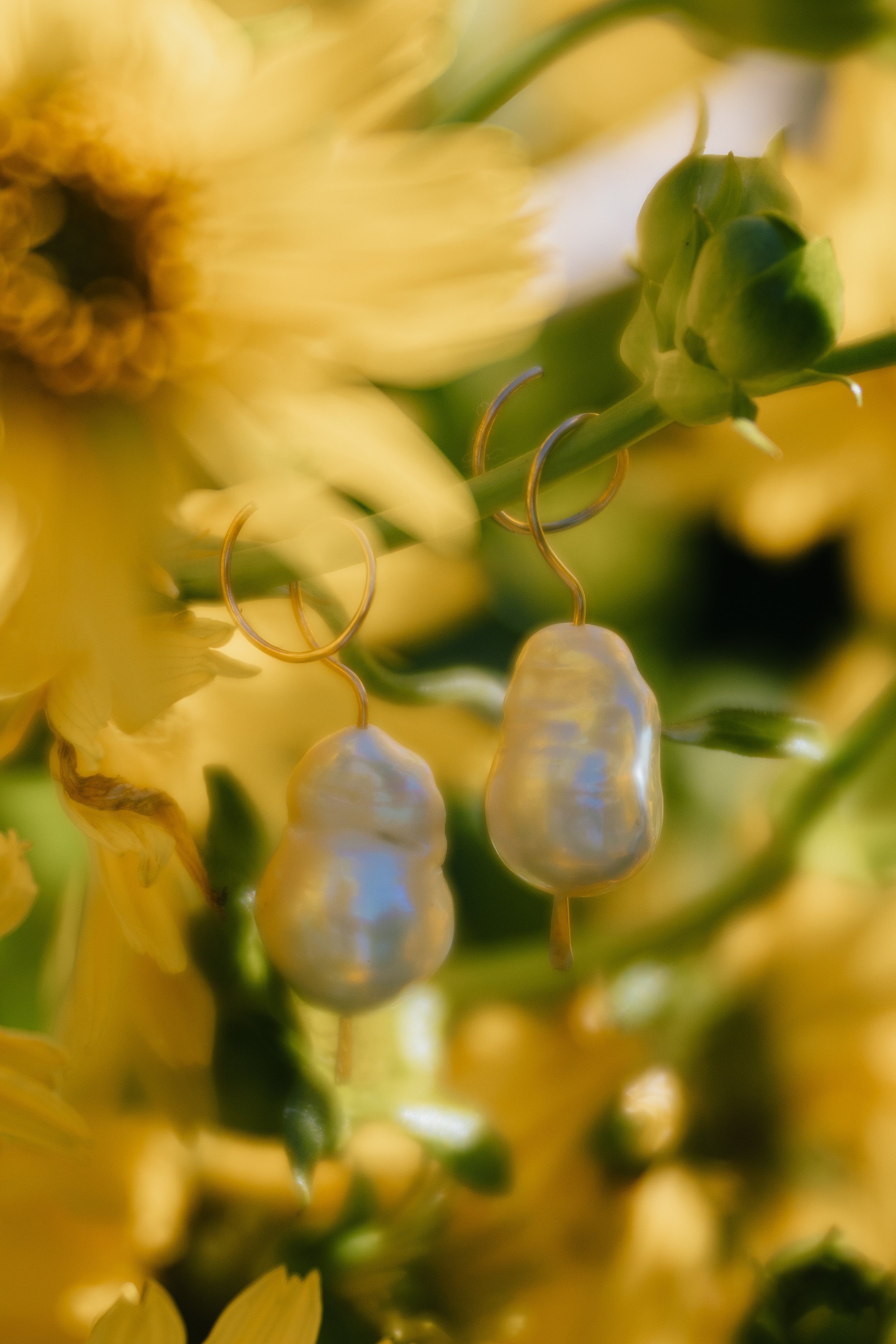 abundance2-10.jpg