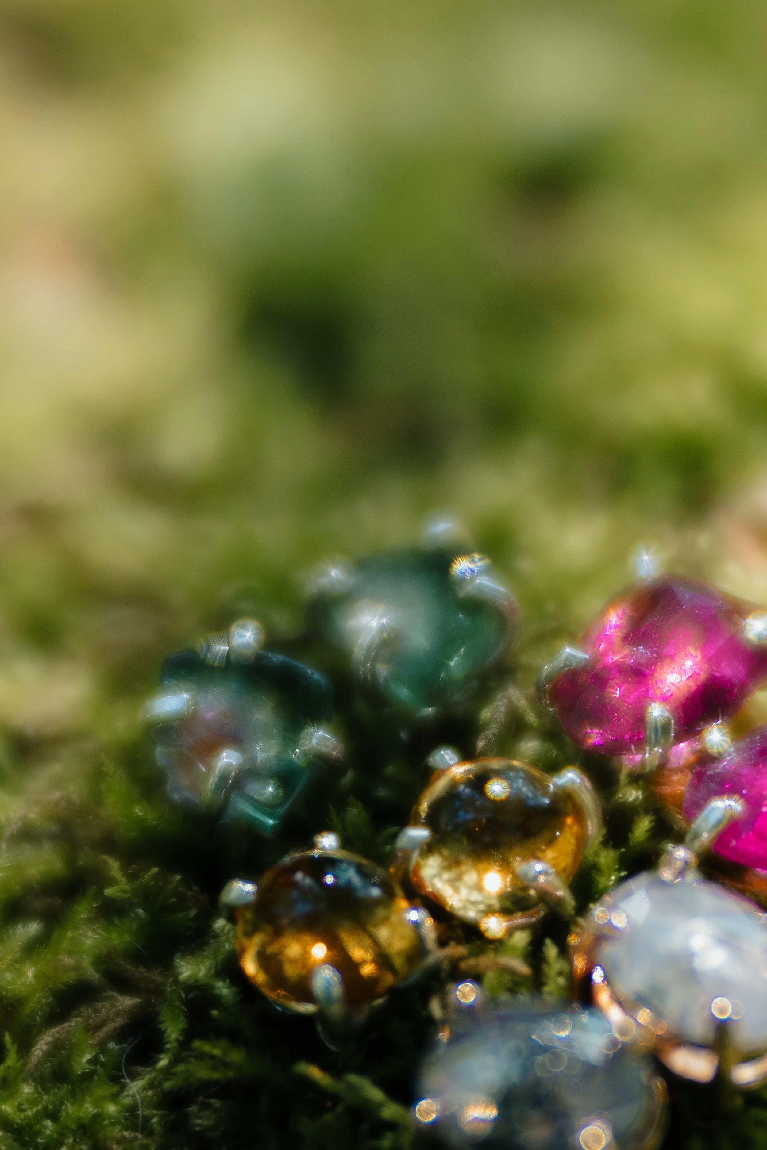 abundance2-15.jpg