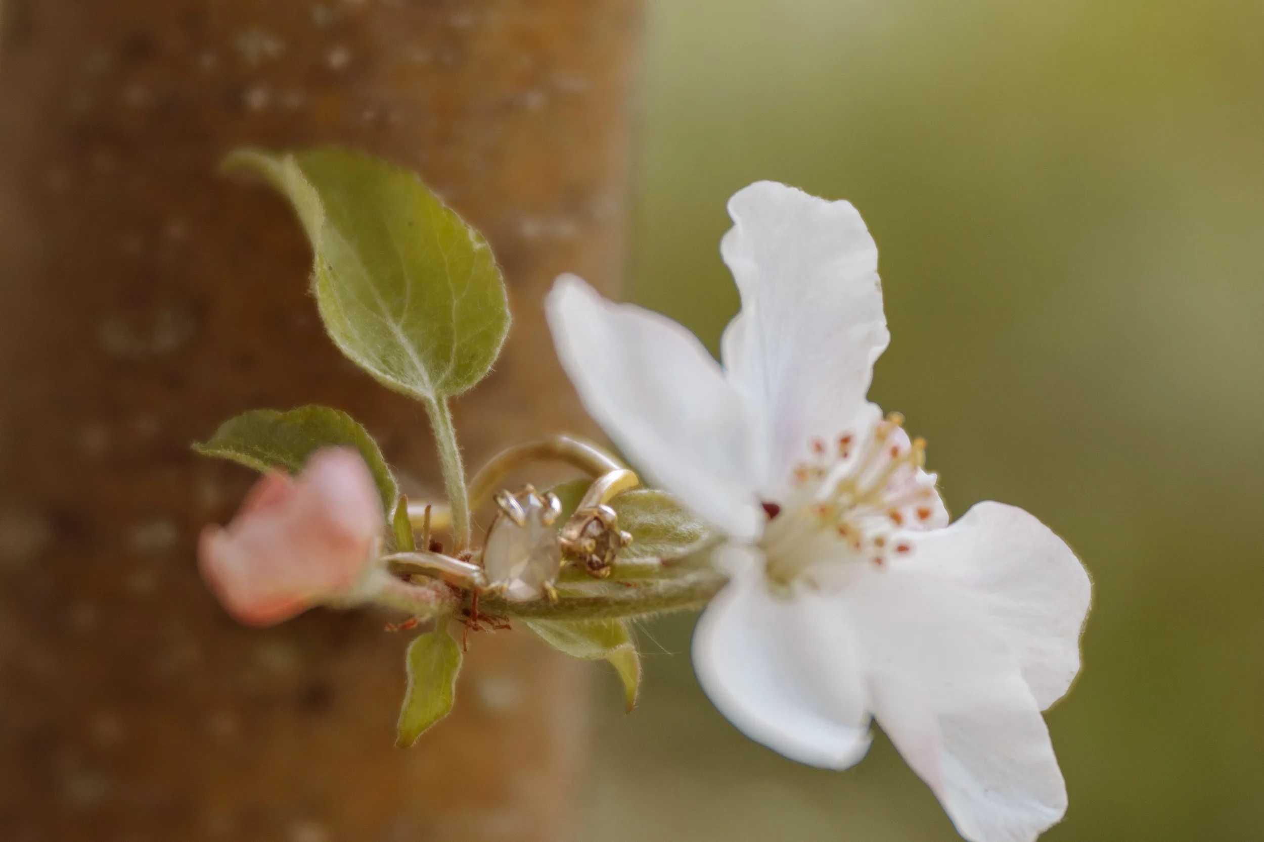 springrings-7.jpg