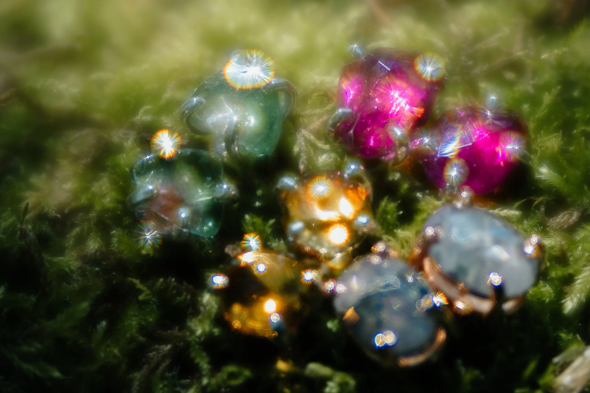 abundance2-17.jpg