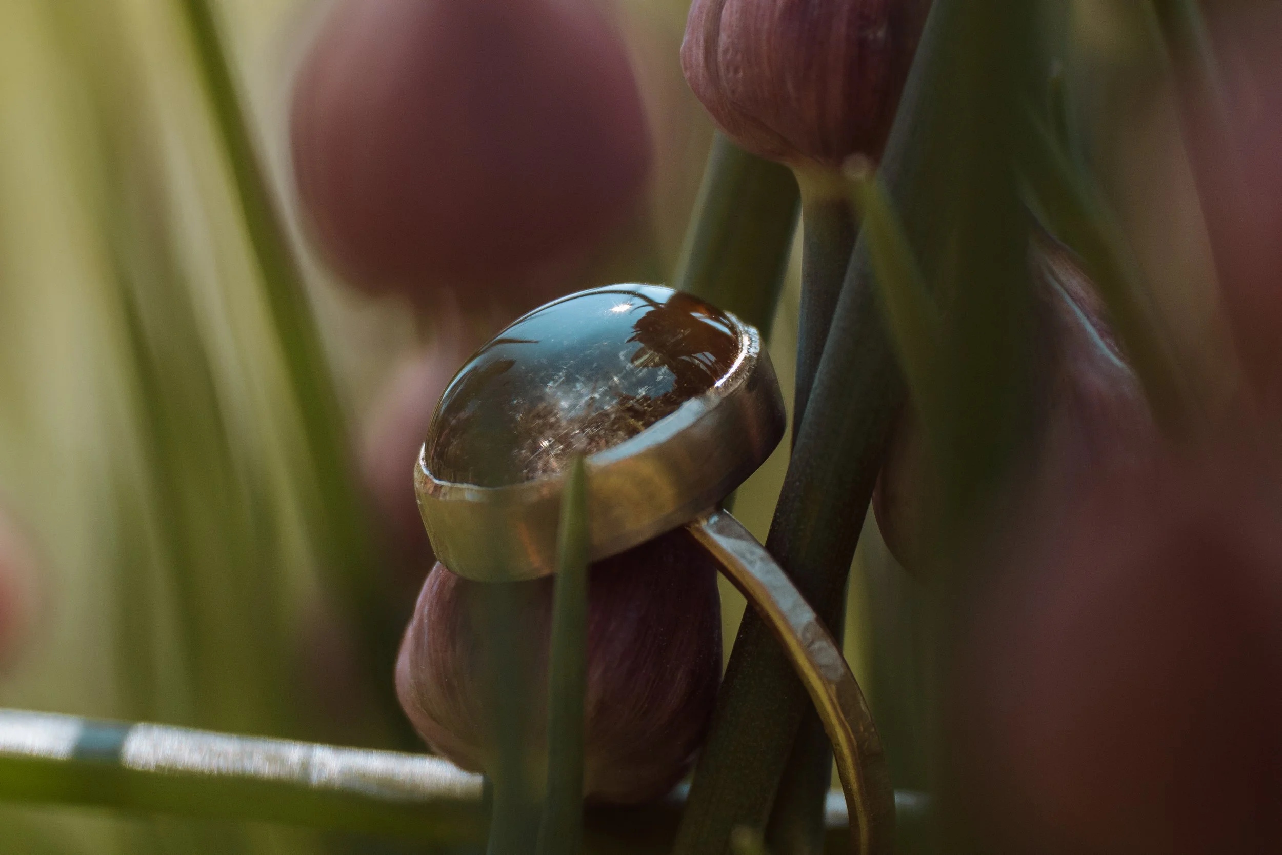 springrings-29.jpg