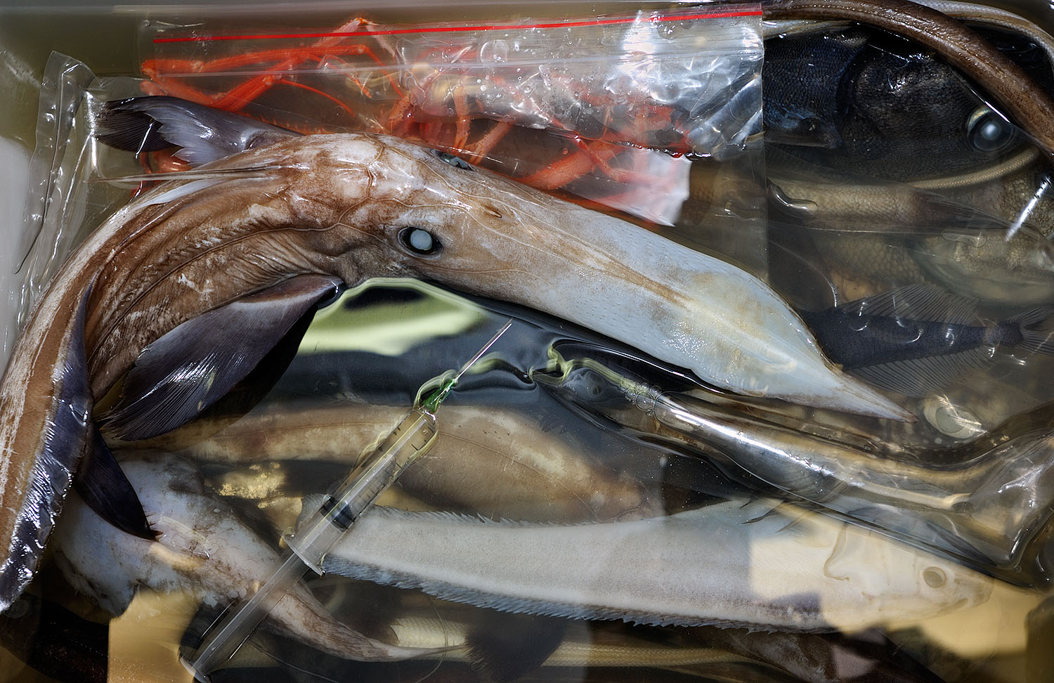 09_Research ship_17352.jpg